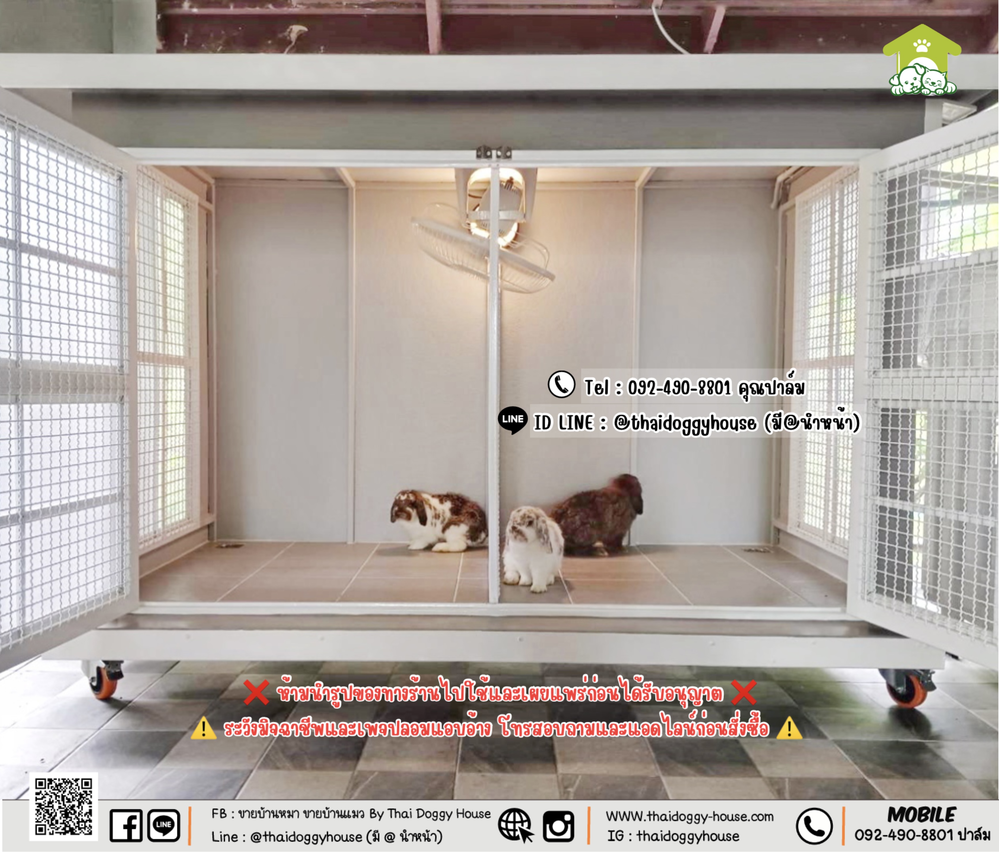บ้านน้องกระต่าย 𝐓𝐡𝐚𝐢 𝐝𝐨𝐠𝐠𝐲 𝐡𝐨𝐮𝐬𝗲 🐰🐇