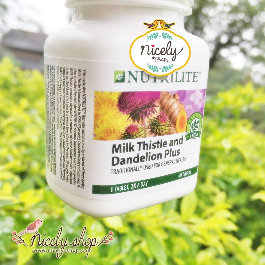 Milk Thistle and Dandelion Plus (60 tab) ช่วย ฟื้นฟูตับให้มีสมรรถภาพที่ดีขึ้น มิลค์ ทิสเทิล (จัดส่งEMSค่า)