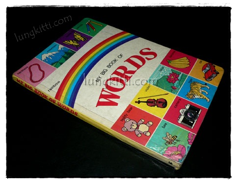 MY BIG BOOK OF WORDS 019773