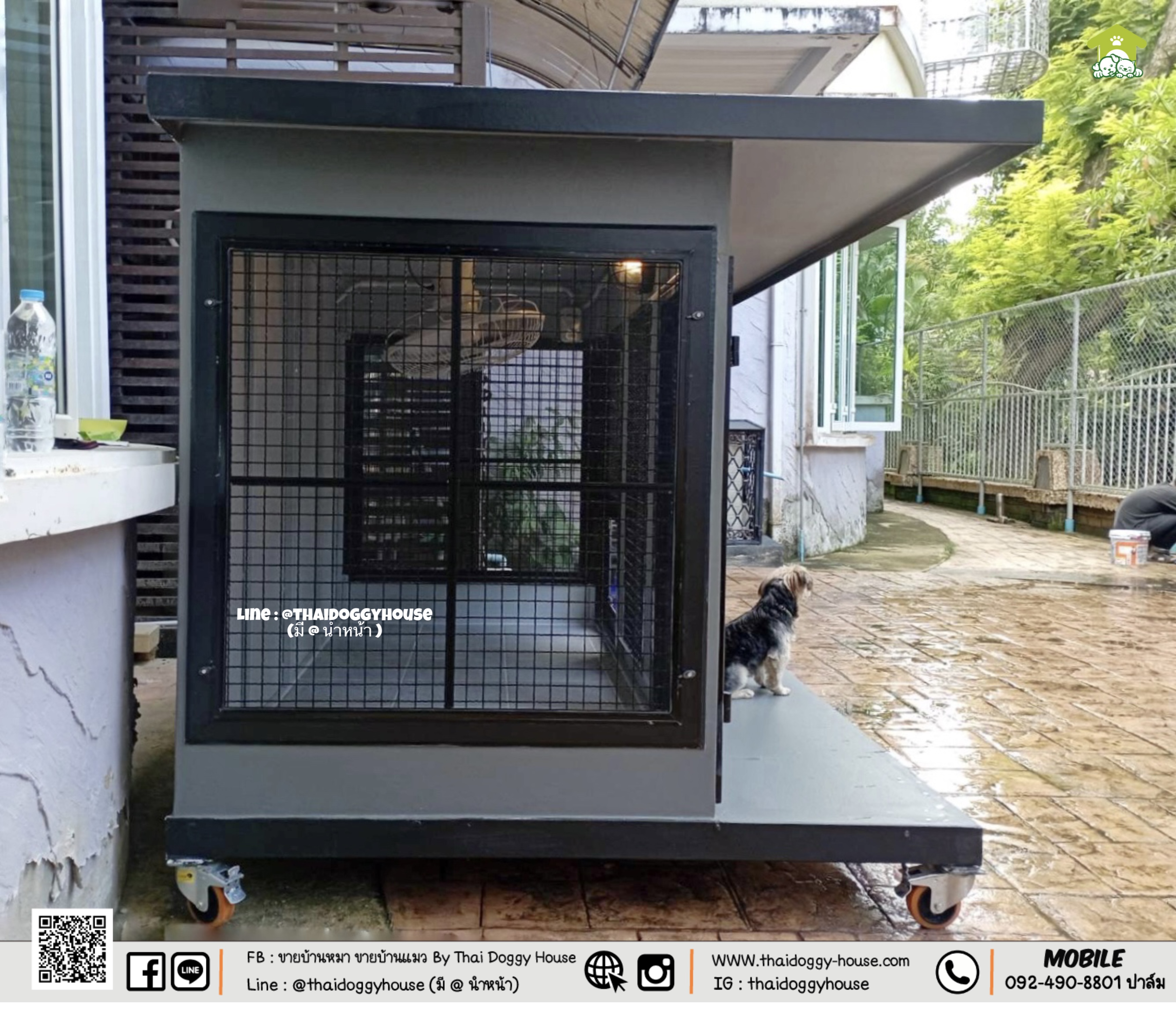 บ้านหมา บ้านแมว " 𝐁𝐎𝐗 𝐒𝐓𝐘𝐋𝐄 𝐁𝐘 𝐓𝐇𝐀𝐈 𝐃𝐎𝐆𝐆𝐘 𝐇𝐎𝐔𝐒𝐄 "