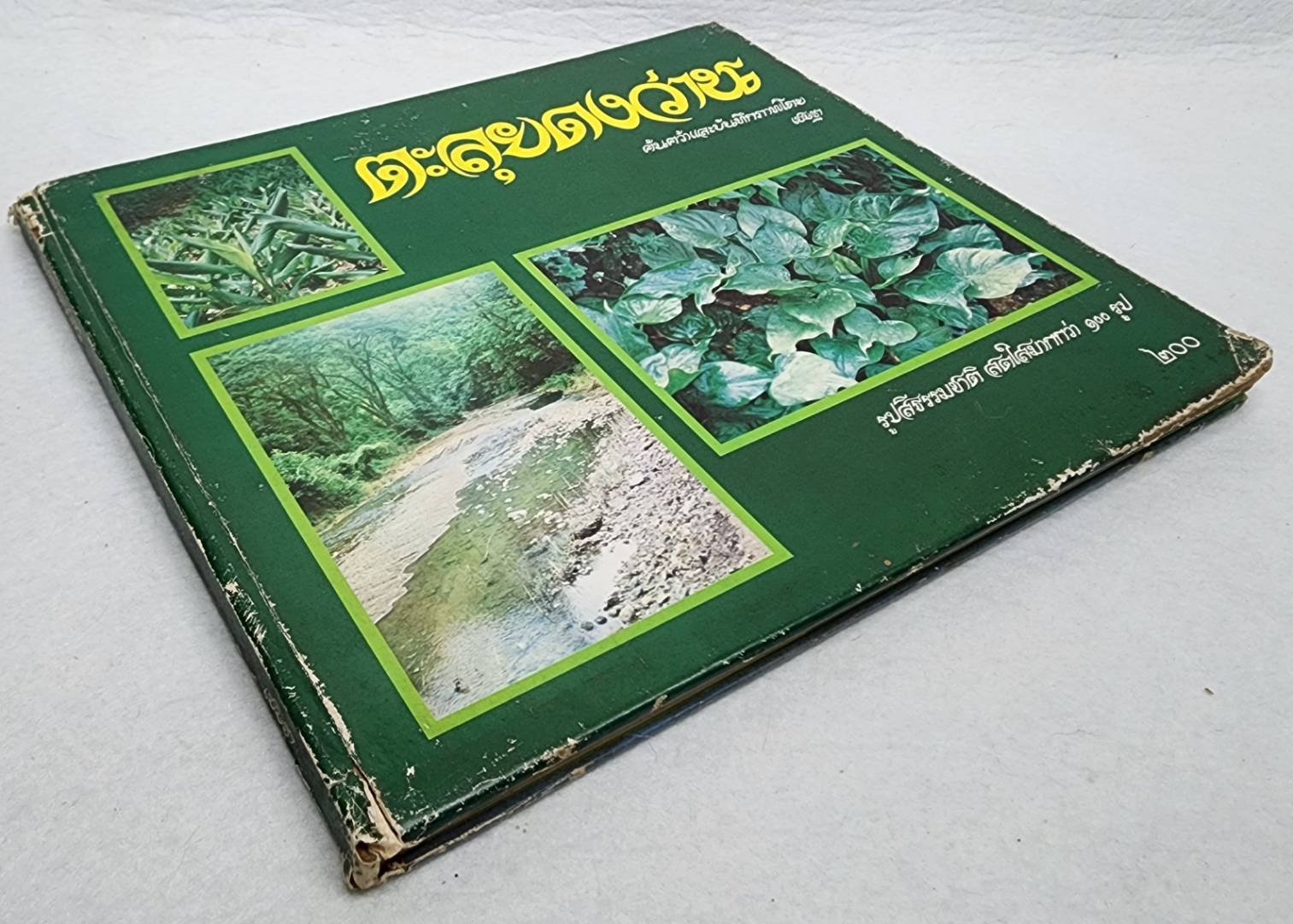 ตะลุยดงว่าน SKU-10019