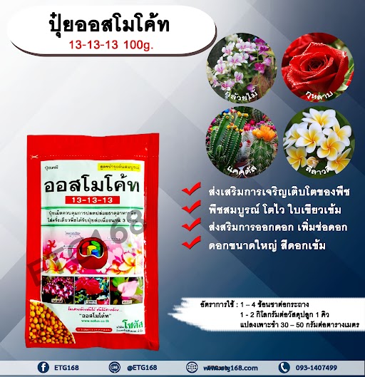 ปุ๋ยออสโมโค้ท 13-13-13 100g. ส่งเสริมการเจริญเติบโตของพืช พืชสมบูรณ์ โตไว ใบเขียวเข้ม ส่งสริมการออกดอก เพิ่มช่อดอก ดอกขนาดใหญ่ สีดอกเข้ม ปุ๋ยละลายช้า บำรุงไม้ดอกไม้ประดับ กล้าไม้ต่างๆ ไม้ผล