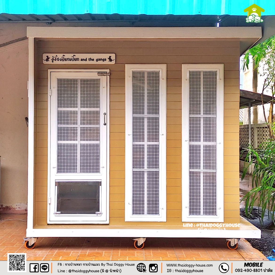 บ้านหมา บ้านแมว " 𝐁𝐎𝐗 𝐒𝐓𝐘𝐋𝐄 𝐁𝐘 𝐓𝐇𝐀𝐈 𝐃𝐎𝐆𝐆𝐘 𝐇𝐎𝐔𝐒𝐄 "
