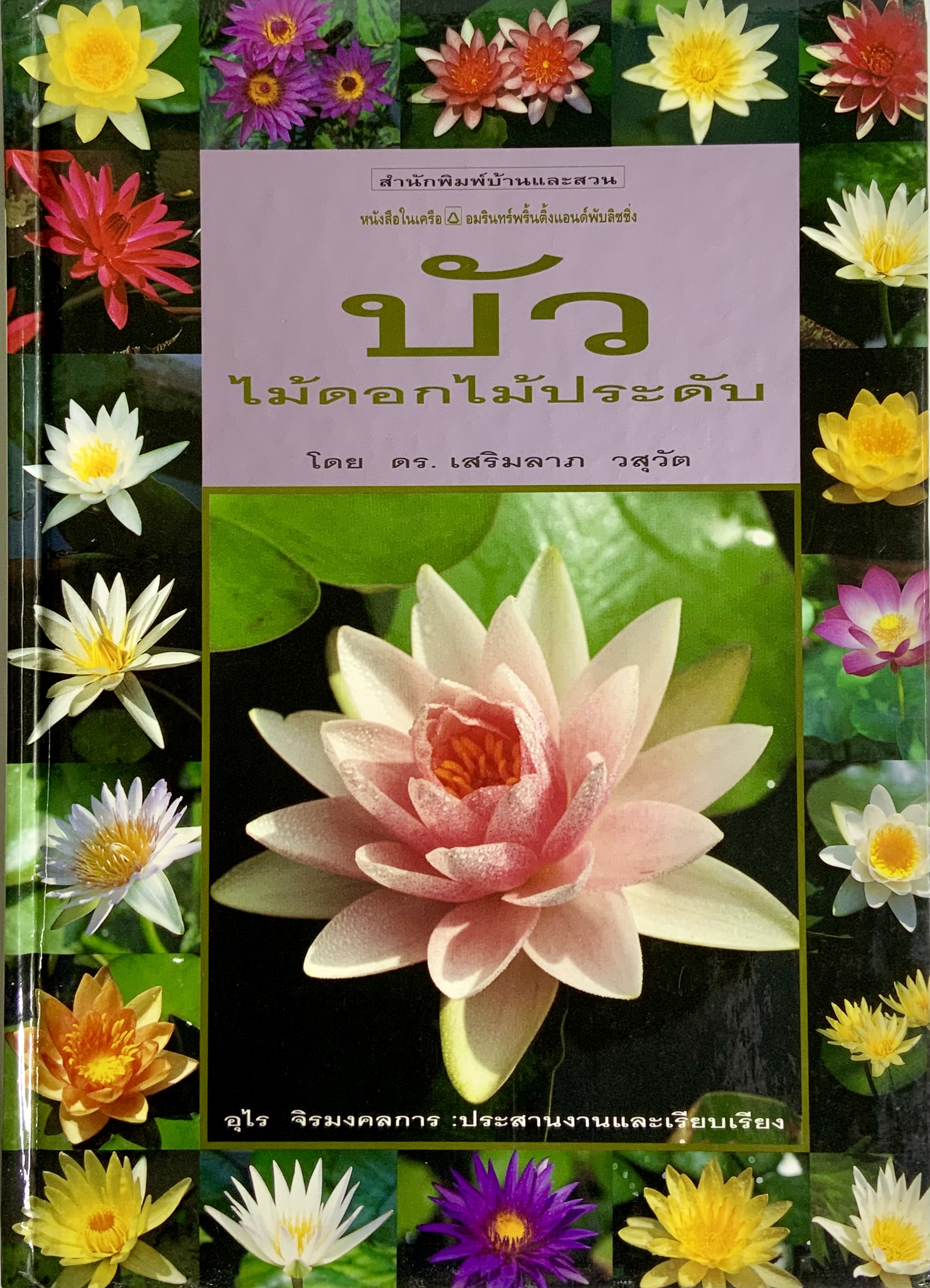 บัว ไม้ดอกไม้ประดับ 027178