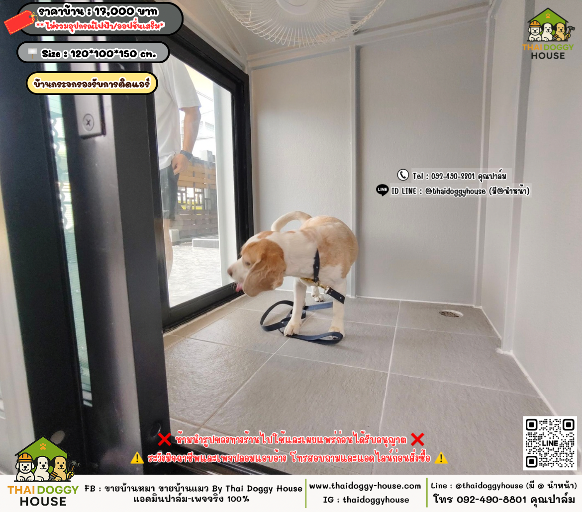 บ้านหมา บ้านแมว 𝐓𝐡𝐚𝐢 𝐝𝐨𝐠𝐠𝐲 𝐡𝐨𝐮𝐬𝗲