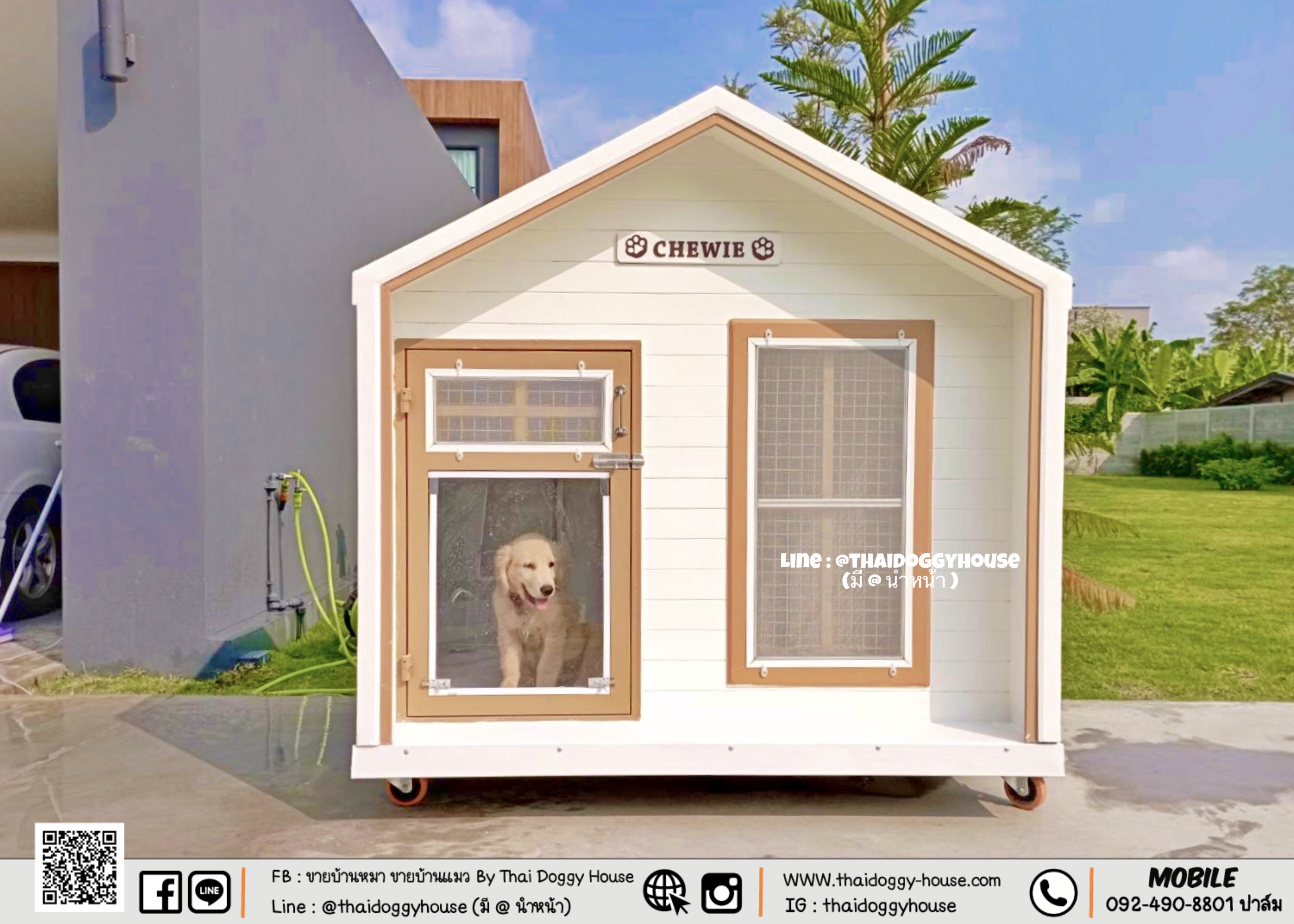 บ้านหมา บ้านแมว ตะแกรงเหล็ก มุ้งลวด