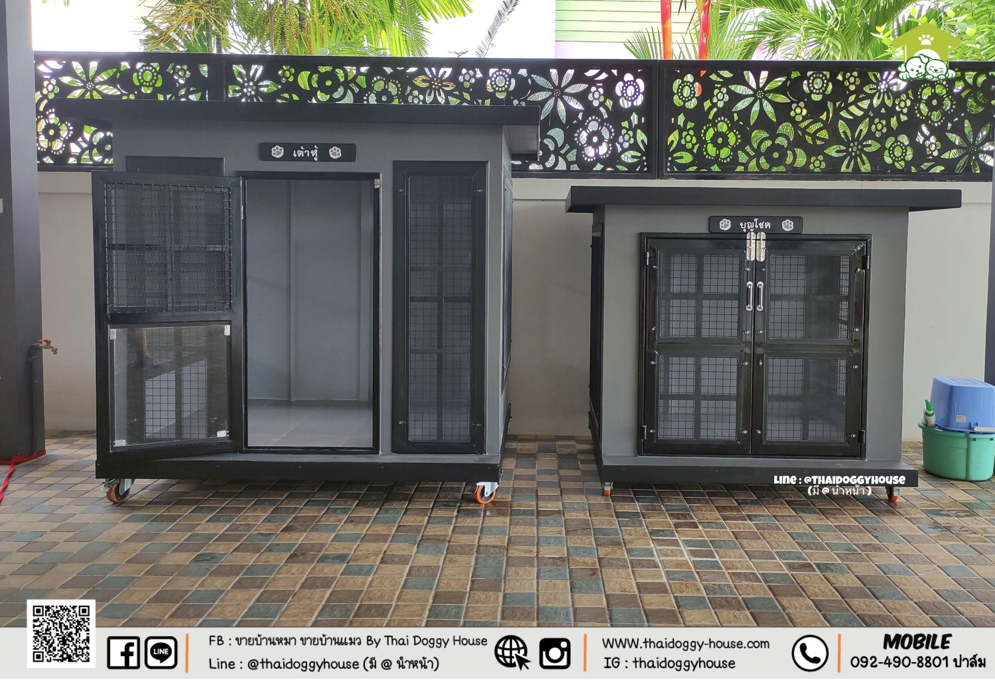 🏡 บ้านหมา บ้านแมว " 𝐁𝐎𝐗 𝐒𝐓𝐘𝐋𝐄 𝐁𝐘 𝐓𝐇𝐀𝐈 𝐃𝐎𝐆𝐆𝐘 𝐇𝐎𝐔𝐒𝐄