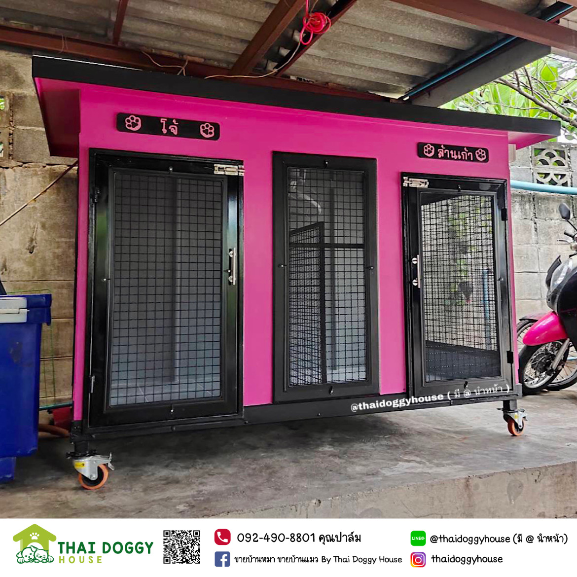 บ้านหมา บ้านแมว โทนสีแบล็คพิ้ง " BOX STYLE" ดีไซน์ทันสมัย สามารถกั้นห้อง 2 ห้องได้นะ