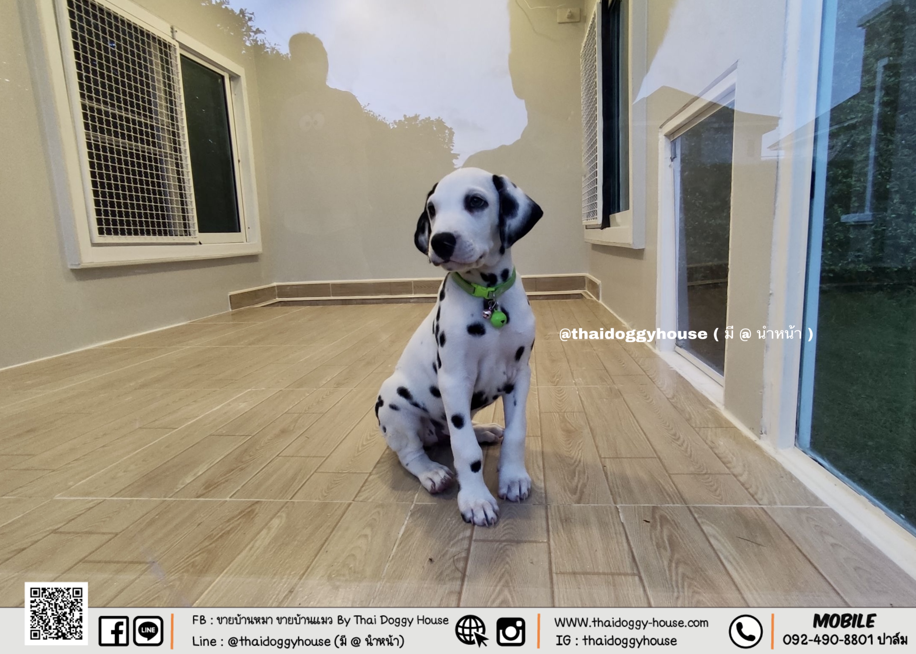 บ้านหมา บ้านแมว นอร์ดิก ( Nordic Style )*** ยกเลิกขายแบบนี้แล้วนะคะ ***