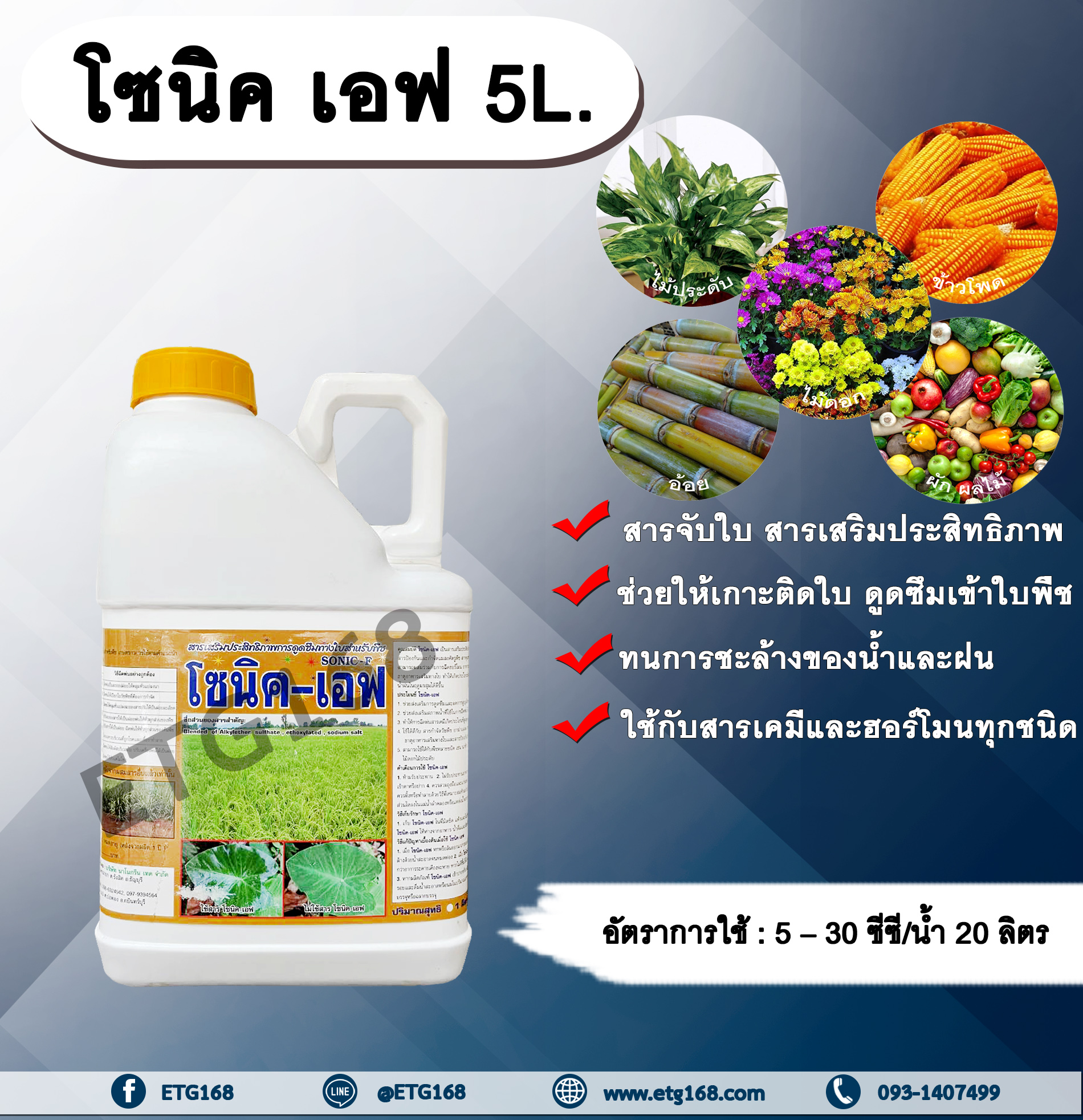โซนิค เอฟ 5L. สารจับใบ สารเคลือบใบ สารเสริมประสิทธิภาพทางใบ สารเคมีเกาะติดใบพืช สารเคมีดูดซึมเข้าใบพืช