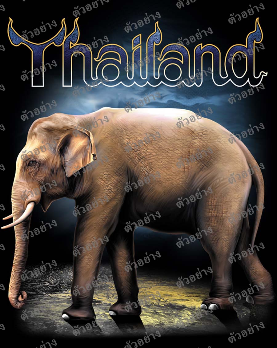 ลายสกรีนฮาฟโทนแนวไทยแลนด์