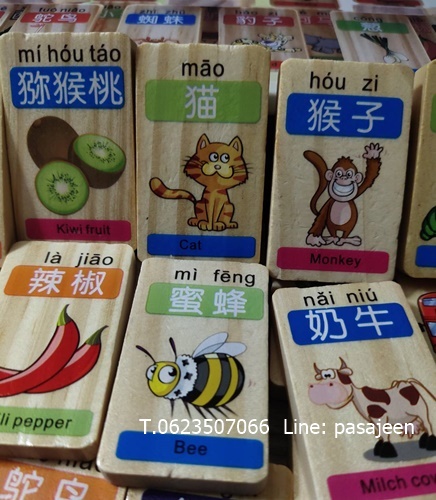 โดมิโนคำศัพท์ (ผลไม้สัตว์) 100ชิ้น