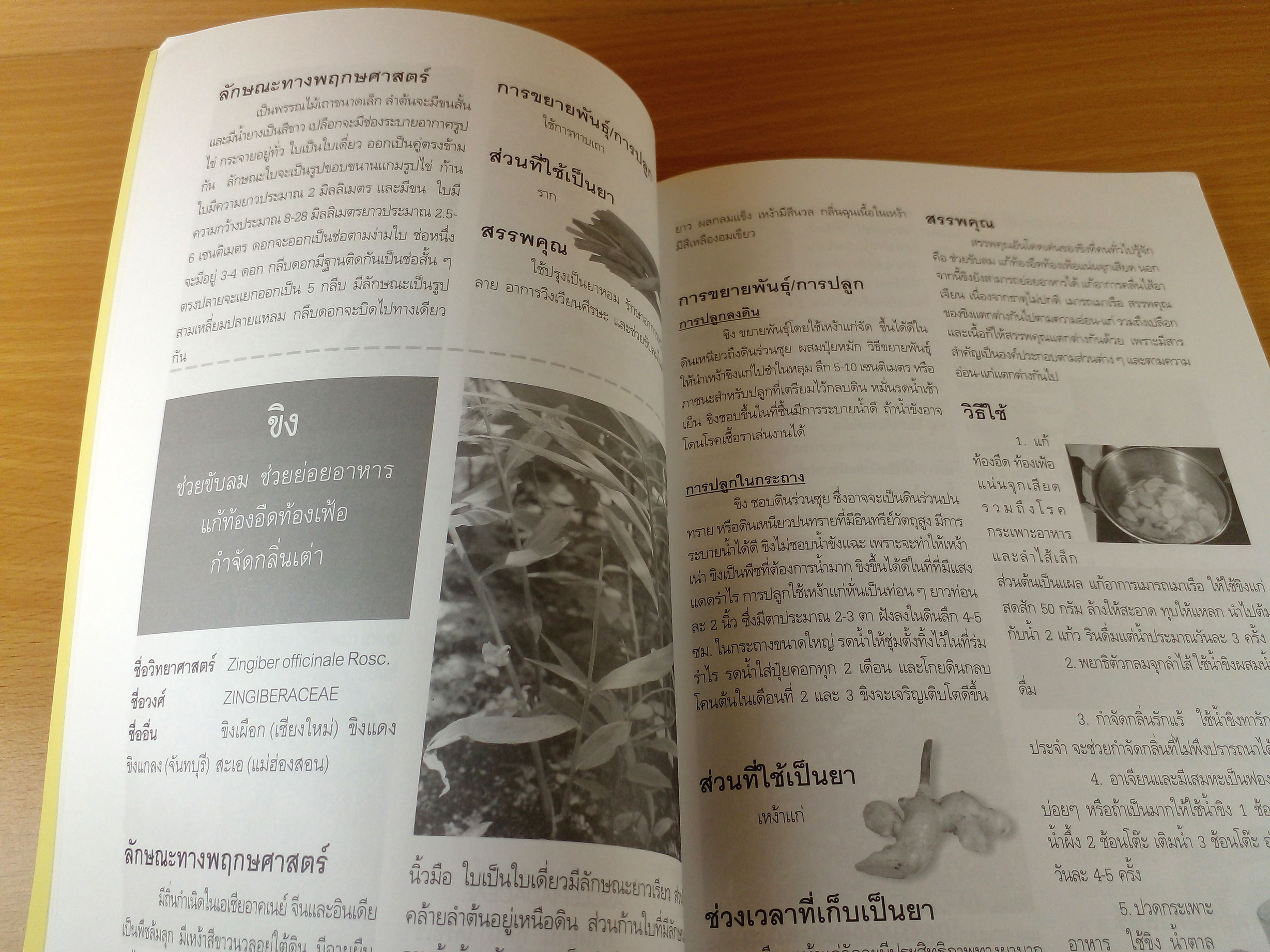 ปรุงยาสมุนไพรไว้ใช้เอง