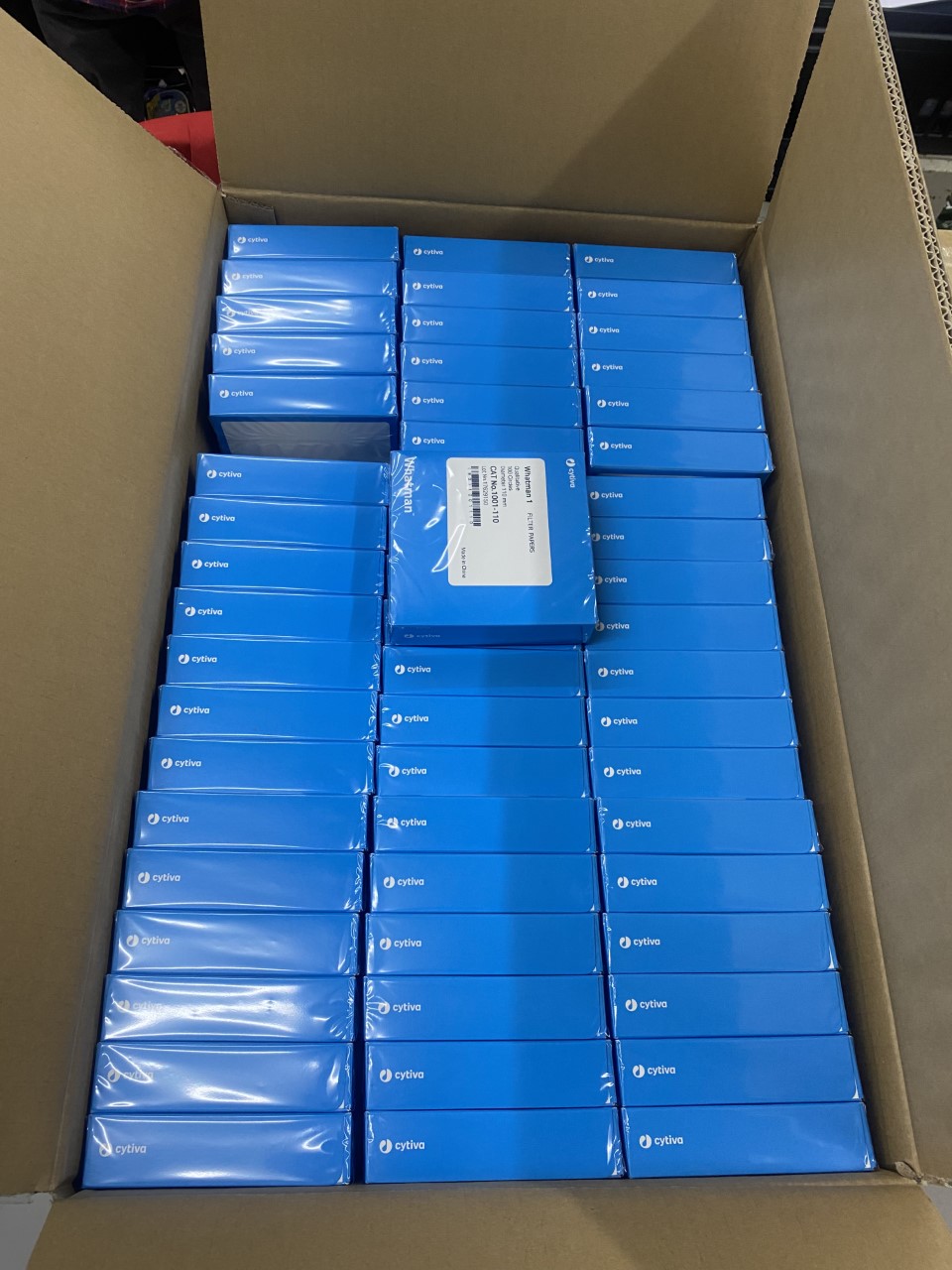 Paper Filter (กระดาษกรอง)100 pcs/Box "whatman"