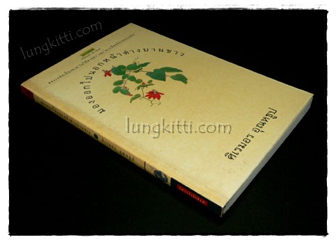 มองออกไปนอกหน้าต่างบานขาว / ศิเรมอร อุณหธุป 019567 (1)