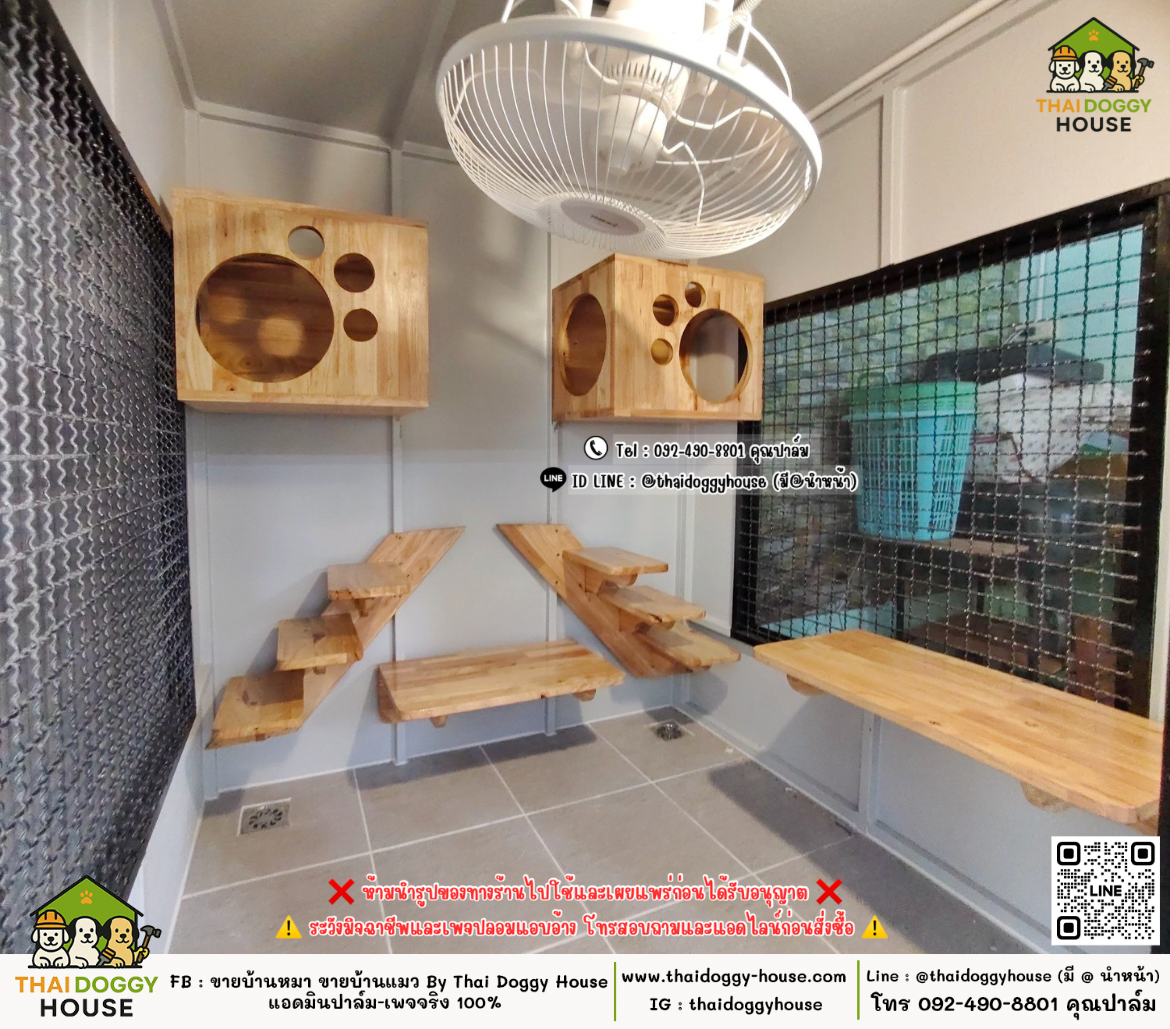 บ้านหมา บ้านแมว 𝐓𝐡𝐚𝐢 𝐝𝐨𝐠𝐠𝐲 𝐡𝐨𝐮𝐬𝗲