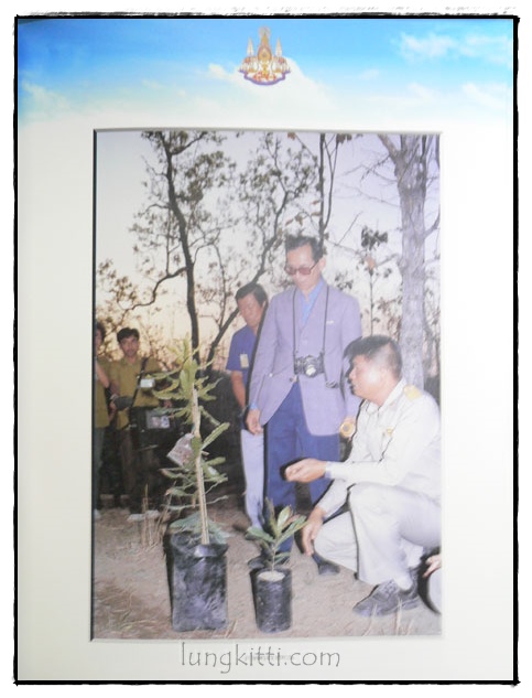 เฉลิมพระเกียรติพระบาทสมเด็จพระเจ้าอยู่หัว ทรงครองสิริราชสมบัติครบ 50 ปี 023153