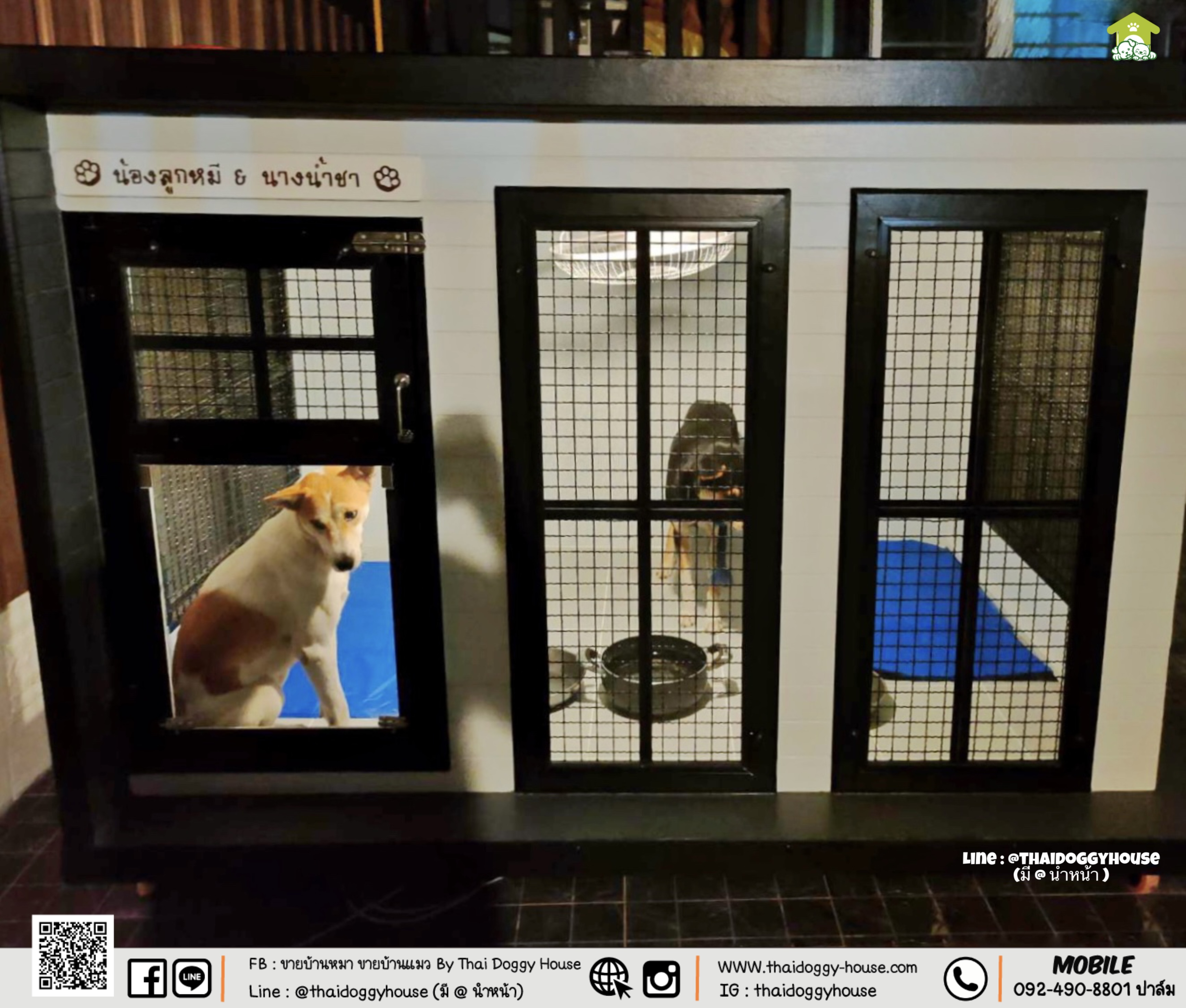 บ้านหมา บ้านแมว " 𝐁𝐎𝐗 𝐒𝐓𝐘𝐋𝐄 𝐁𝐘 𝐓𝐇𝐀𝐈 𝐃𝐎𝐆𝐆𝐘 𝐇𝐎𝐔𝐒𝐄 "