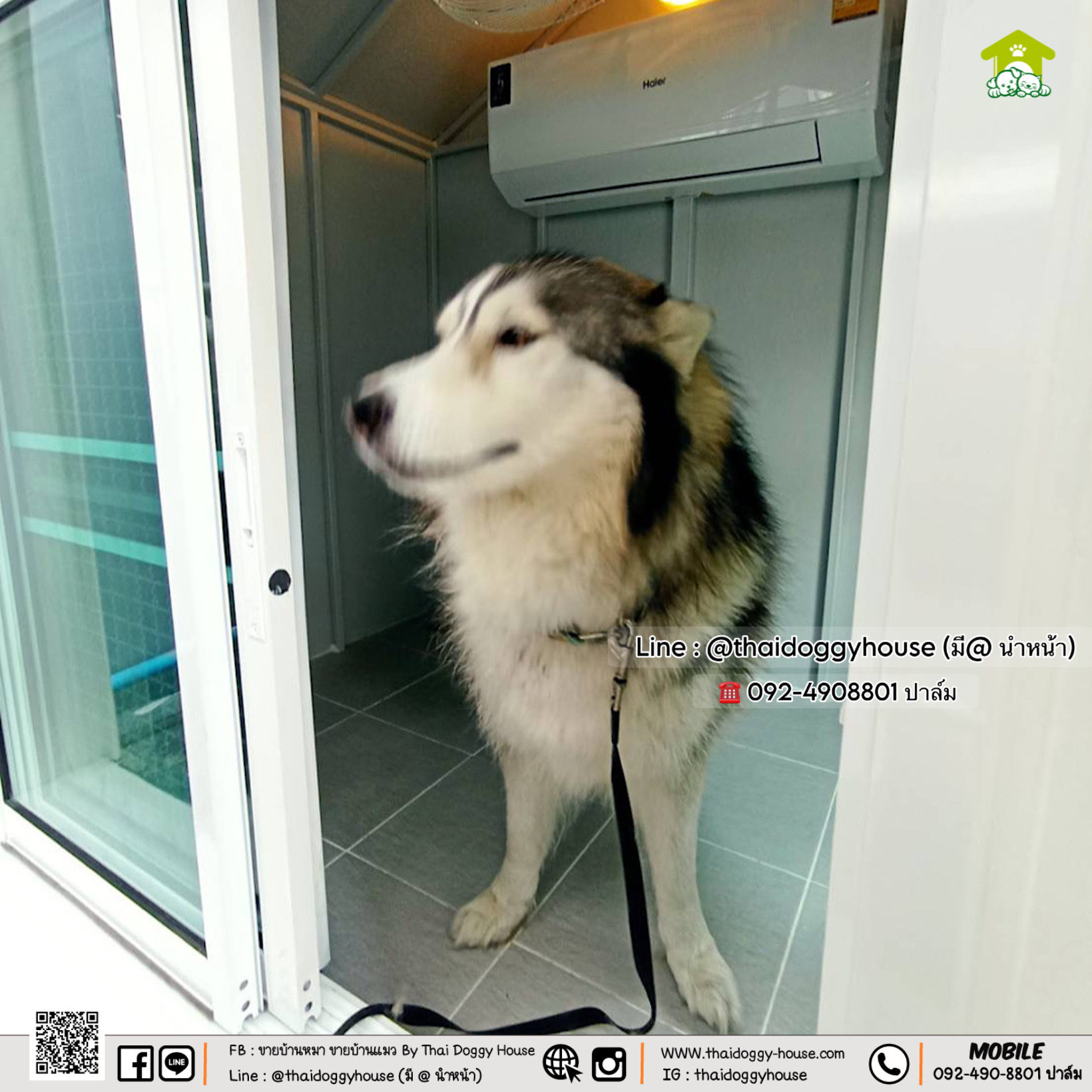 บ้านหมา บ้านแมว บ้านสัตว์เลี้ยง 𝐓𝐡𝐚𝐢 𝐝𝐨𝐠𝐠𝐲 𝐡𝐨𝐮𝐬𝗲