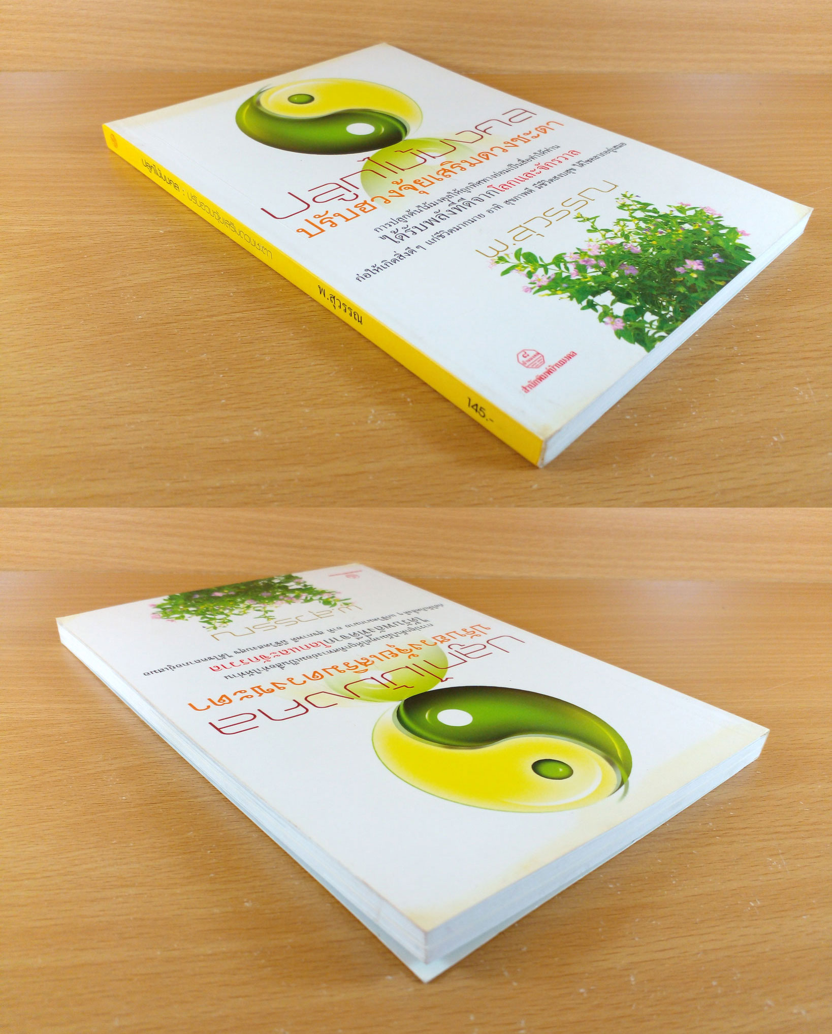 ปลูกไม้มงคล ปรับฮวงจุ้ยเสริมดวงชะตา