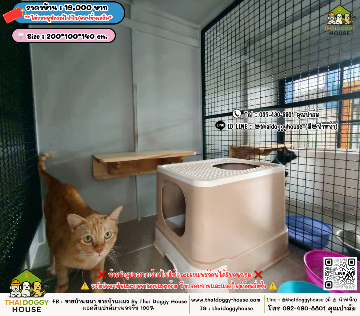 บ้านหมา บ้านแมว 𝐓𝐡𝐚𝐢 𝐝𝐨𝐠𝐠𝐲 𝐡𝐨𝐮𝐬𝗲
