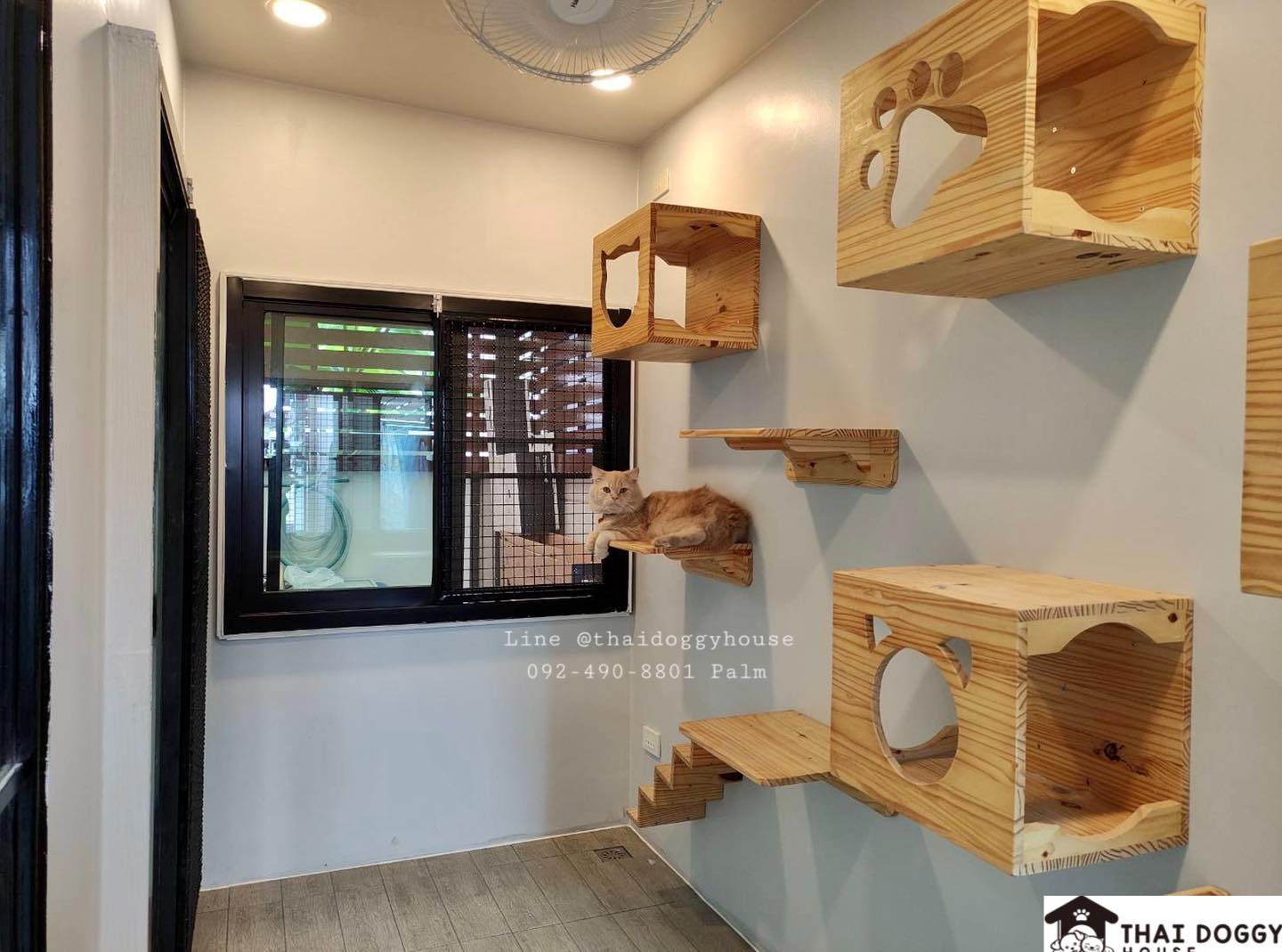 บ้านหมา แบบติดแอร์