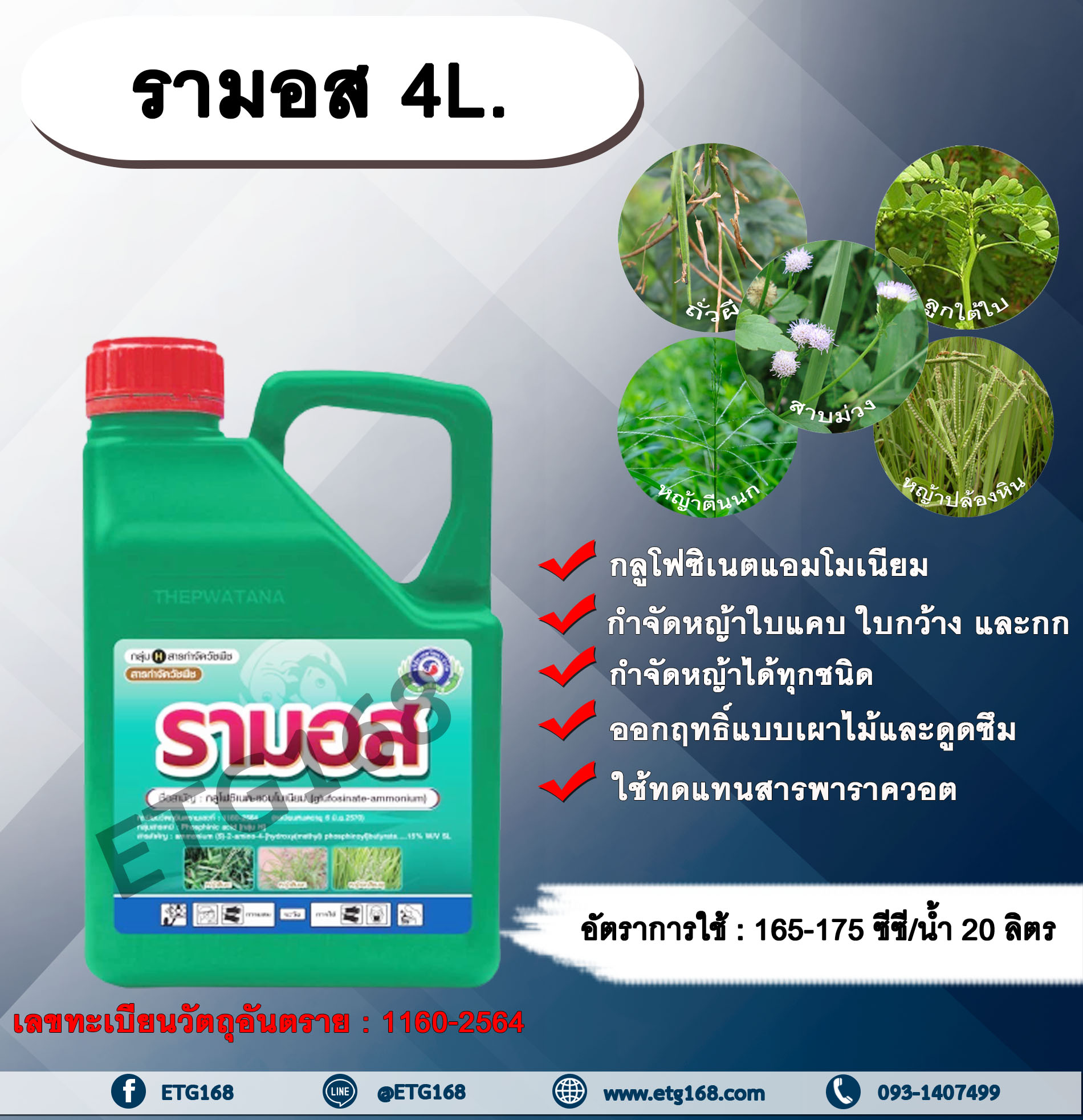 รามอส 4L. กลูโฟซิเนตแอมโมเนียม สารกำจัดวัชพืช กำจัดหญ้าใบแคบ ใบกว้าง กก หญ้าทุกชนิด ออกฤทธิ์แบบเผาไหม้และดูดซึม