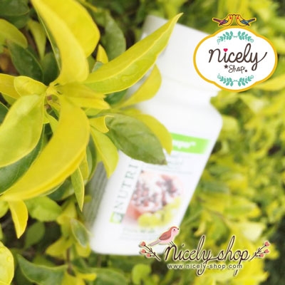 (จากช็อปไทย )ออสคีพเปอร์ แอมเวย์ ผลิตภัณฑ์เสริมอาหาร สารสกัดจากผลทับทิมและสารสกัดจากเมล็ดองุ่น