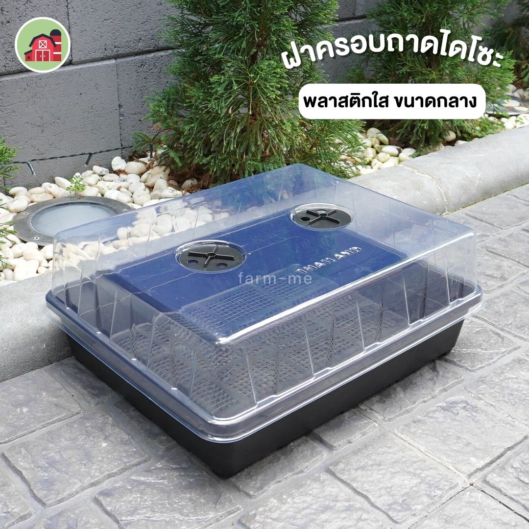 ฝาครอบ ถาดไดโซะขนาดกลาง