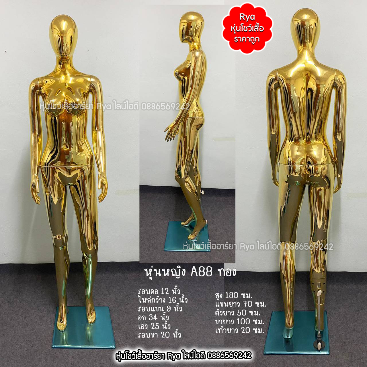 หุ่นเต็มตัวผู้หญิงพร้อมฐานวาง ถอดประกอบแขนขาและฐานวางได้ค่ะ อก33" เอว25" สะโพก34" สูง177ซม.
