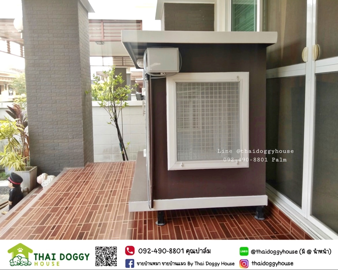 บ้านหมา บ้านแมว " 𝐁𝐎𝐗 𝐒𝐓𝐘𝐋𝐄 𝐁𝐘 𝐓𝐇𝐀𝐈 𝐃𝐎𝐆𝐆𝐘 𝐇𝐎𝐔𝐒𝐄 "