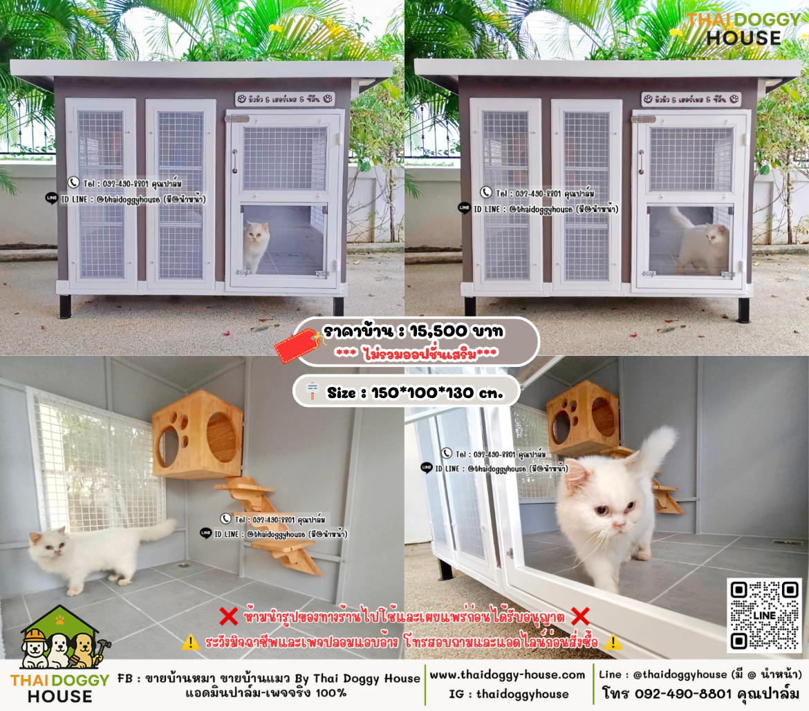 บ้านหมา บ้านแมว 𝐓𝐡𝐚𝐢 𝐝𝐨𝐠𝐠𝐲 𝐡𝐨𝐮𝐬𝗲