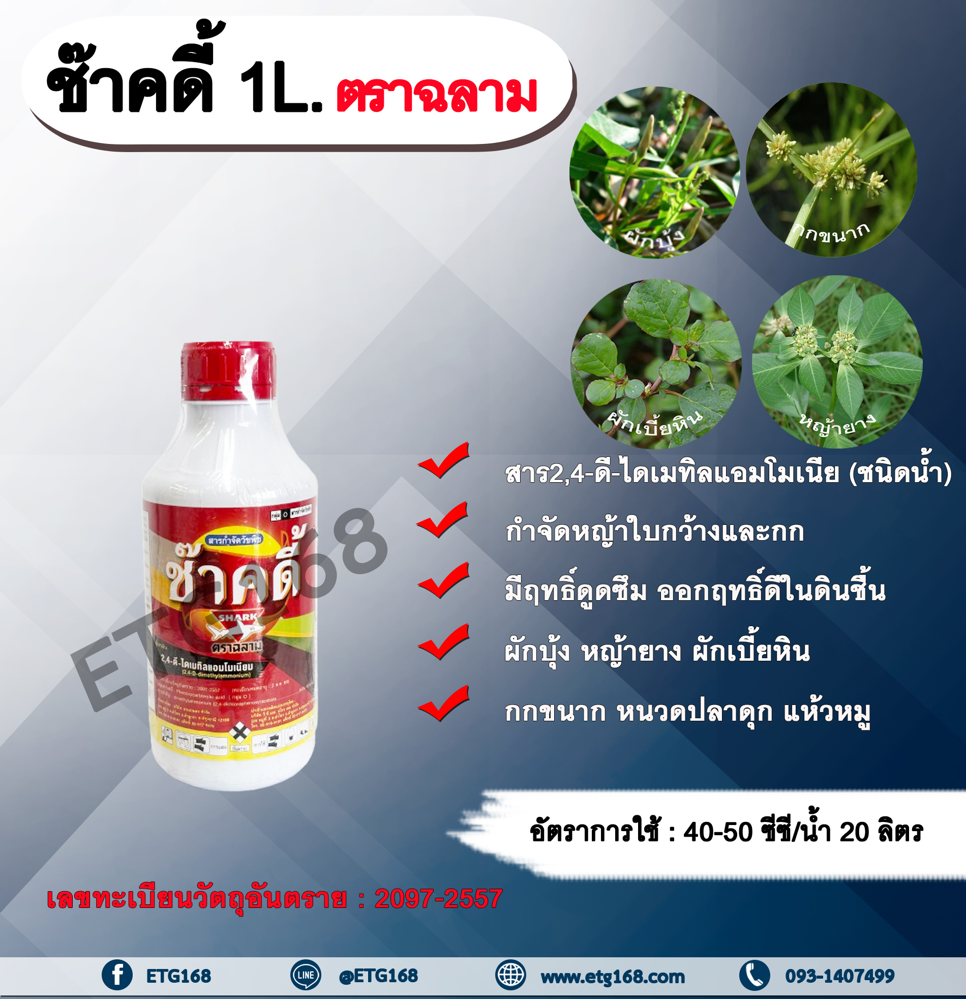 ช๊าคดี้ 1L. ตราฉลาม 24ดี ไดเมทิลแอมโมเนียม ทูโฟดี สารกำจัดหญ้า กำจัดวัชพืช แบบดูดซึม ใบกว้าง และกก กำจัดหญ้ายาง ผักบุ้ง ผักโขม ผักเบี้ยหิน เครือ สะอึก กกขนาก แห้วหมู หนวดปลาดุก