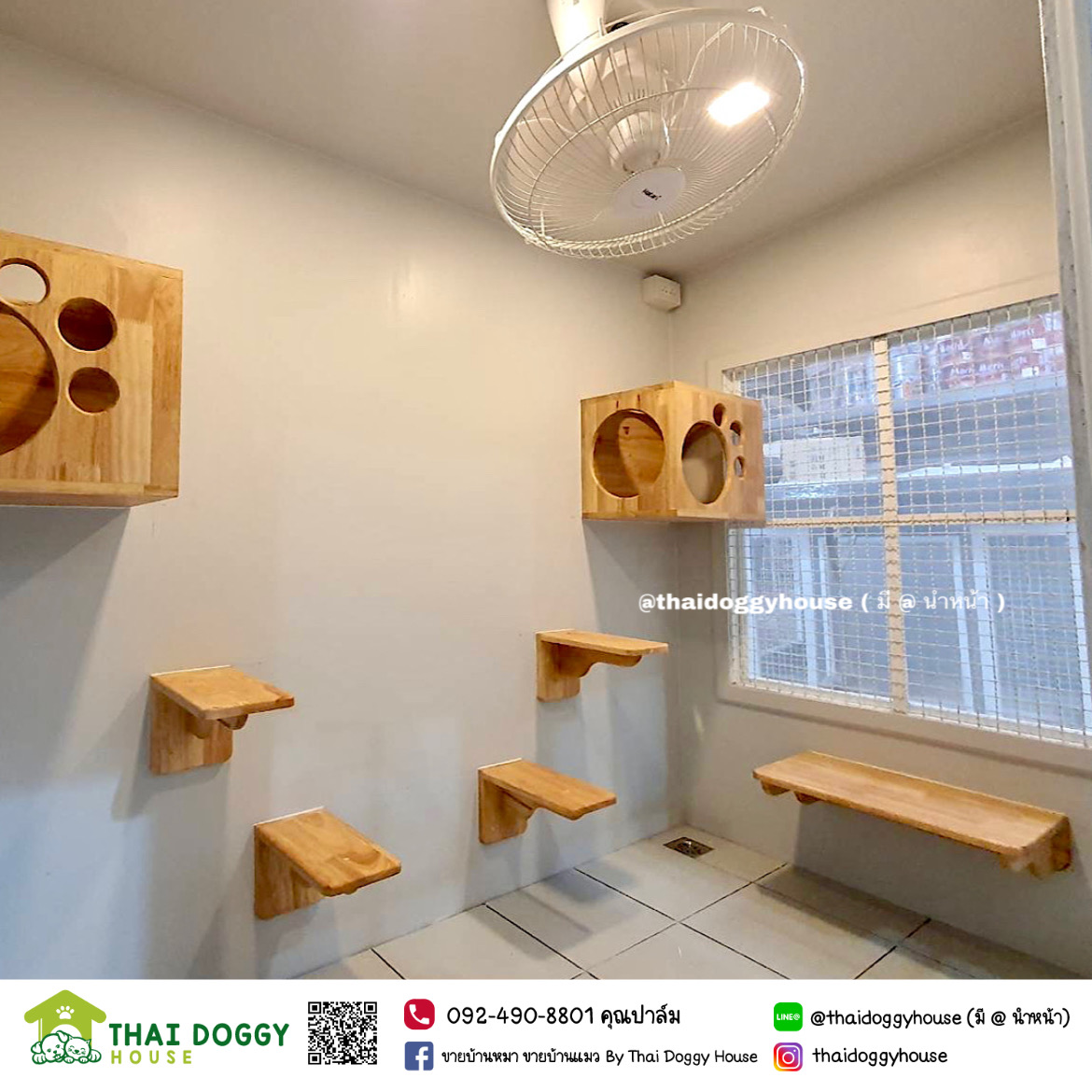 บ้านแมว หลังใหญ่ อยู่สบายๆ อากาศถ่ายเทดี พื้นปูกระเบื้อง สามารถล้างทำความสะอาดได้