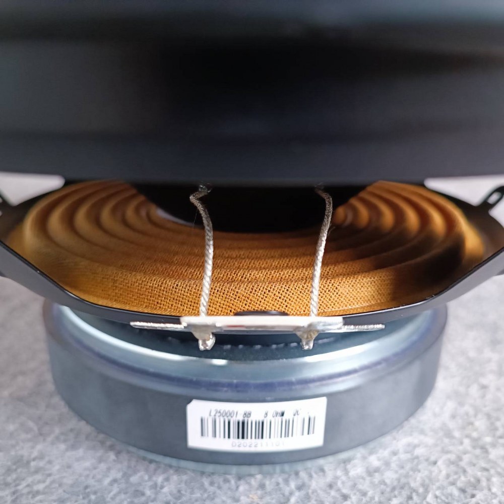 1ดอก NPE EW-1003 ลำโพง 10" ดอกลำโพง ลำโพง10นิ้ว ลำโพงNPE EW1003 ดอกตู้ลำโพง ดอกตู้ลำโพงNPE EW 1003 เอไอ-ไพศาล