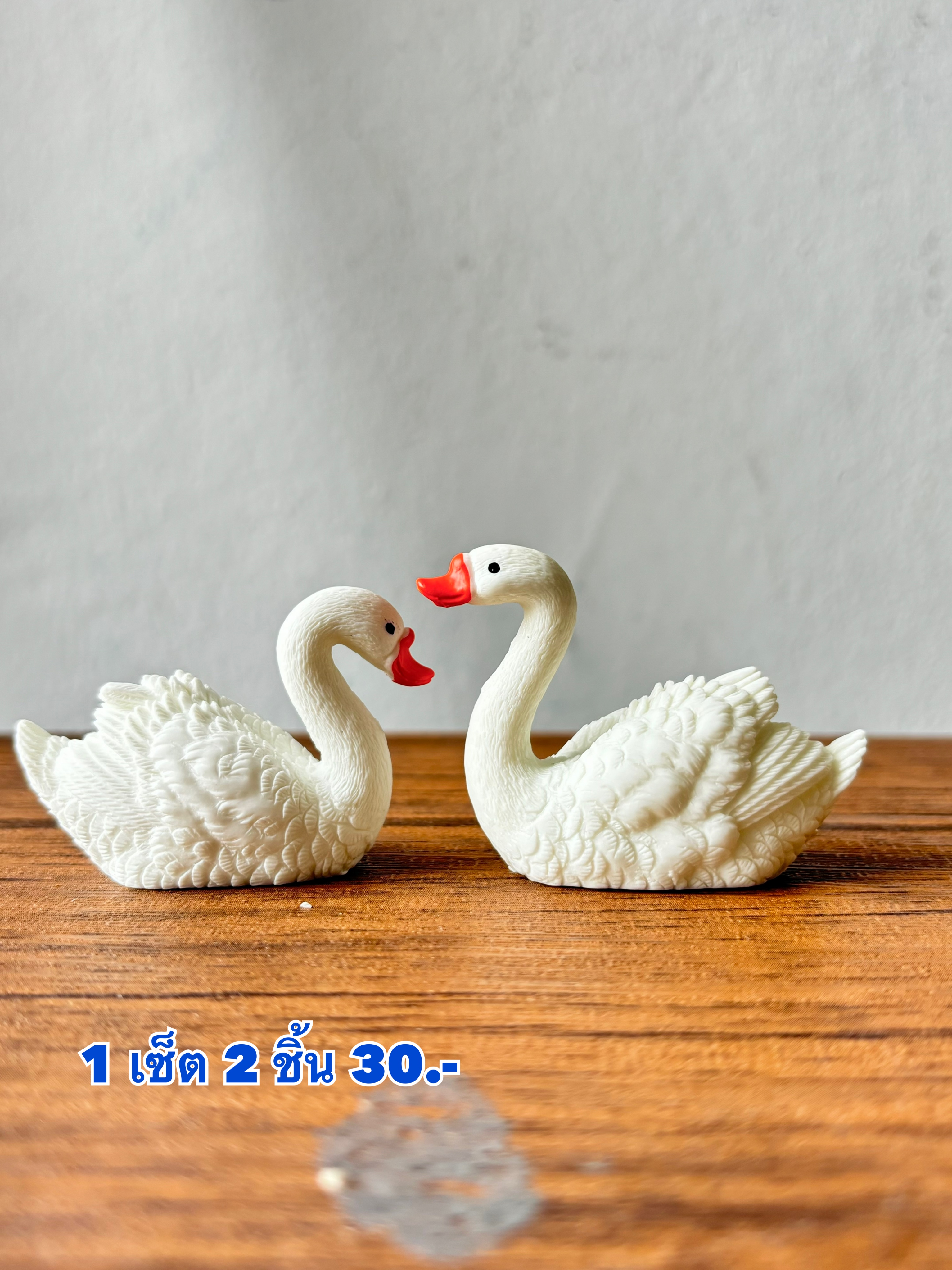 เป็ดคู่