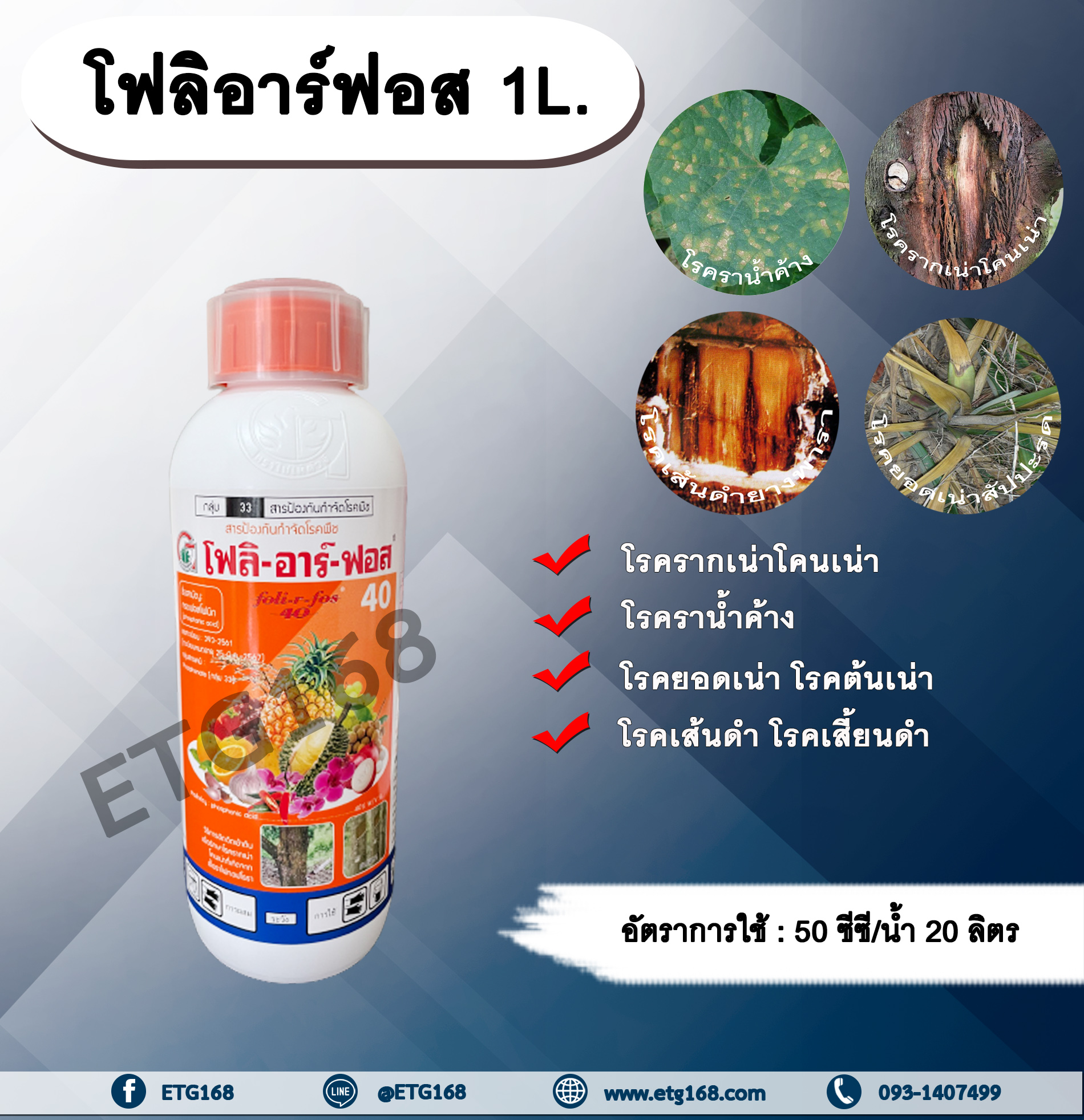 🔥โฟลิอาร์ฟอส 1L. กรดฟอสโฟนิก สารกำจัดเชื้อรา โรครากเน่าโคนเน่า โรคยอดเน่า โรคต้นเน่า โรคเส้นดำ โรคเสี้ยนดำ โรคพืช