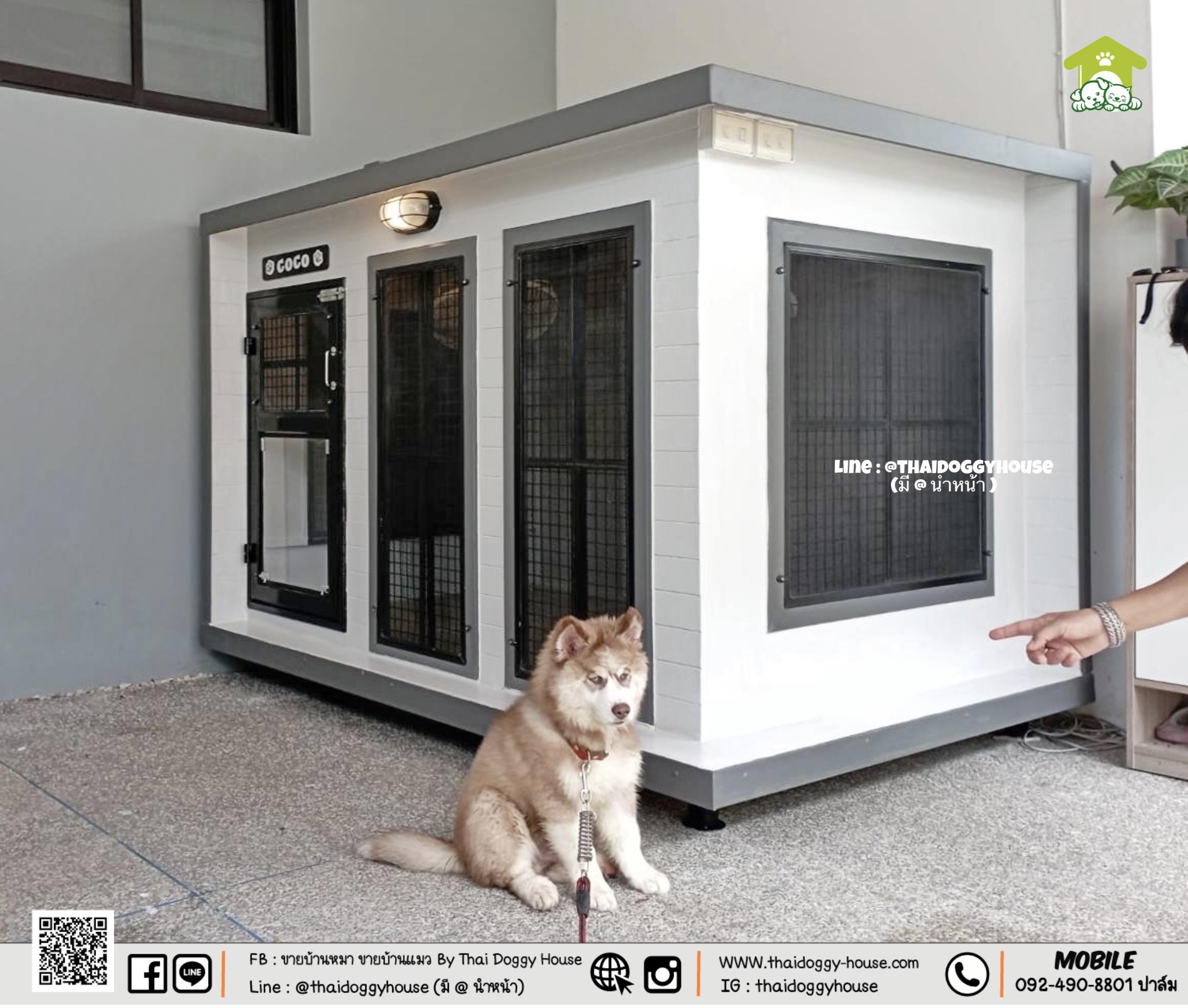 บ้านหมา บ้านแมว " 𝐁𝐎𝐗 𝐒𝐓𝐘𝐋𝐄 𝐁𝐘 𝐓𝐇𝐀𝐈 𝐃𝐎𝐆𝐆𝐘 𝐇𝐎𝐔𝐒𝐄 " &#x