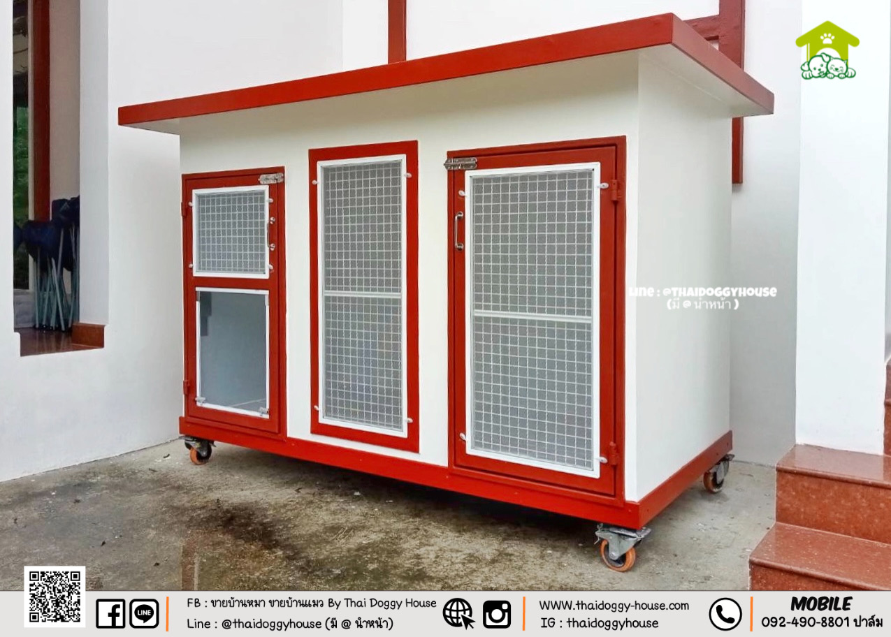 บ้านหมา บ้านแมว " 𝐁𝐎𝐗 𝐒𝐓𝐘𝐋𝐄 𝐁𝐘 𝐓𝐇𝐀𝐈 𝐃𝐎𝐆𝐆𝐘 𝐇𝐎𝐔𝐒𝐄 " &#x