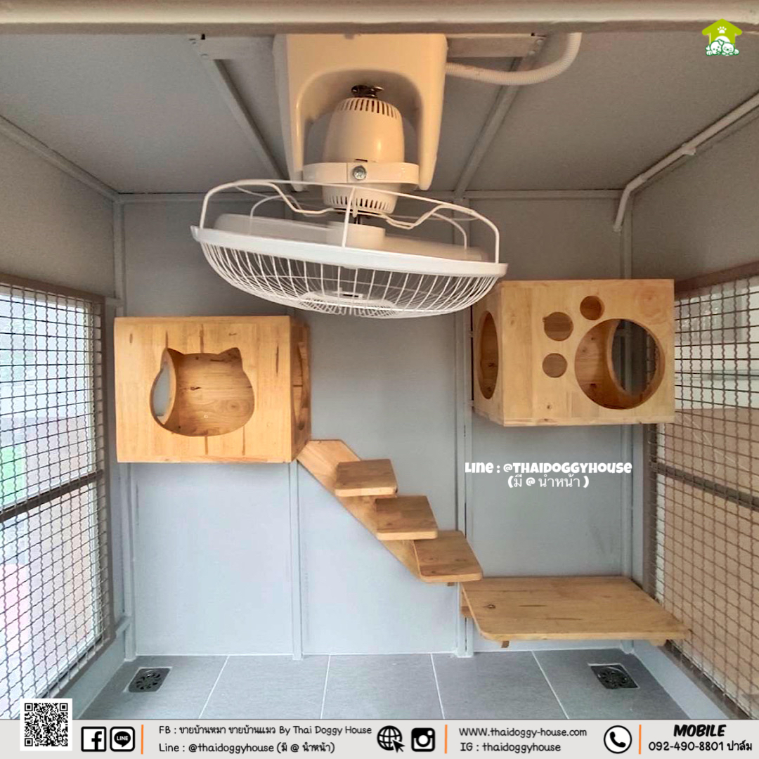 บ้านหมา บ้านแมว " 𝐁𝐎𝐗 𝐒𝐓𝐘𝐋𝐄 𝐁𝐘 𝐓𝐇𝐀𝐈 𝐃𝐎𝐆𝐆𝐘 𝐇𝐎𝐔𝐒𝐄