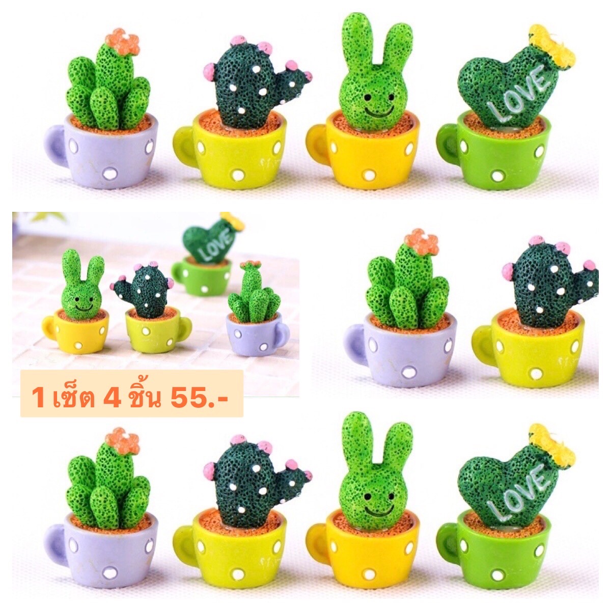 กระบองเพชร แบบ B