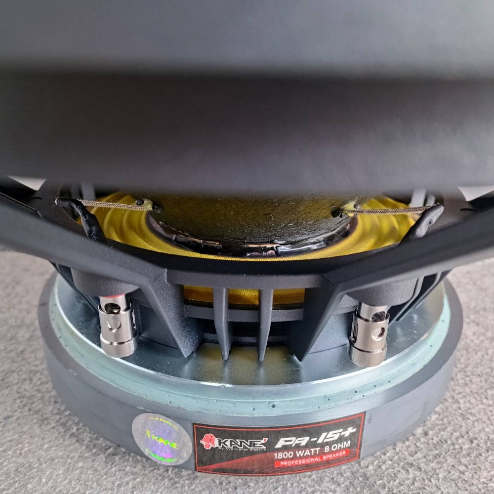 KANE PA-15+ ดอกลำโพง 15นิ้ว ซับ โครงหล่อ ดอกลำโพง ซับเบส 15นิ้ว ดอกซับ15นิ้ว วอยซ์4นิ้ว KANE คาเนะ PA 15+ PA15+ เอไอ-ไพศาล