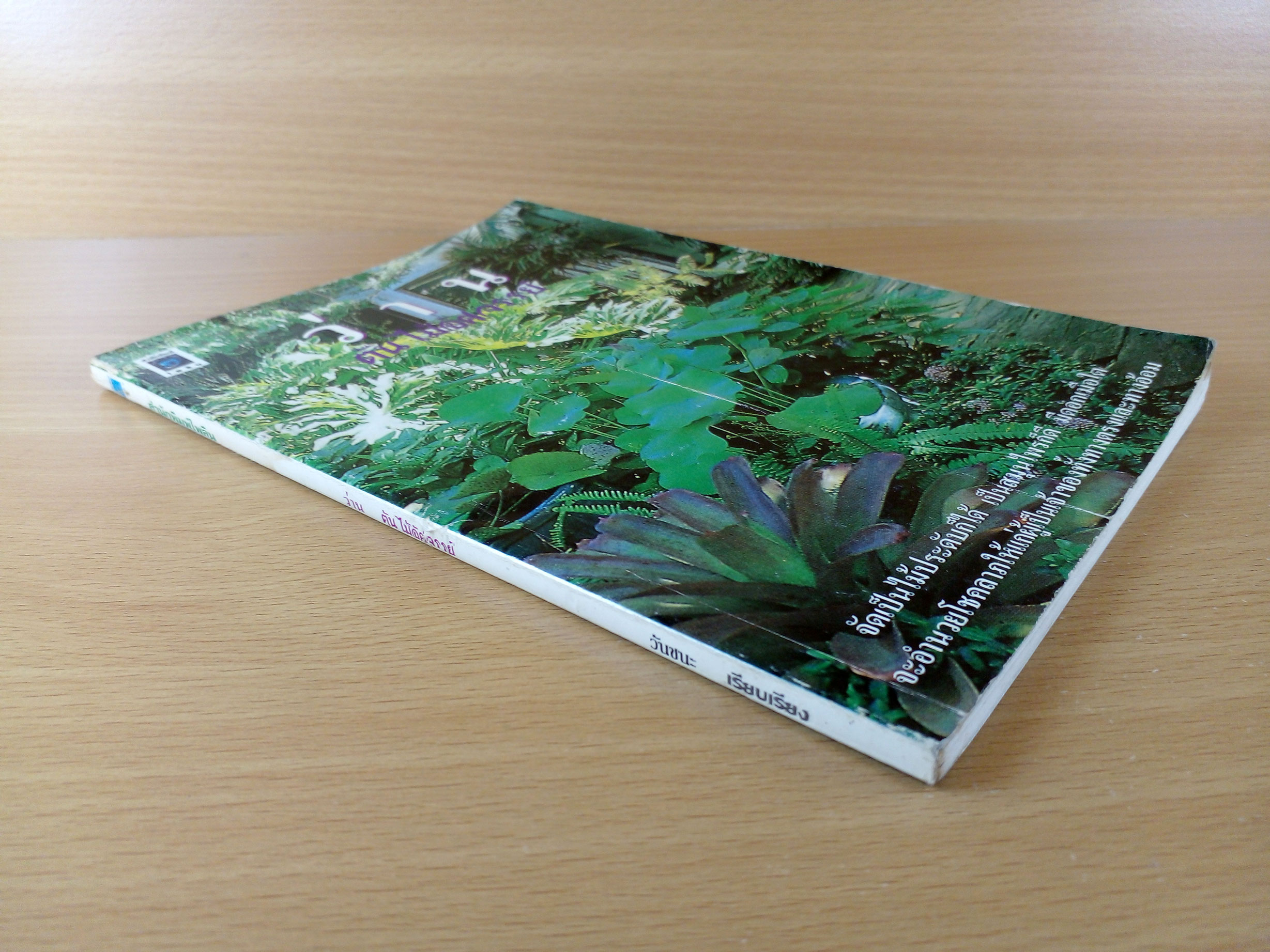 ว่าน ต้นไม้อัศจรรย์