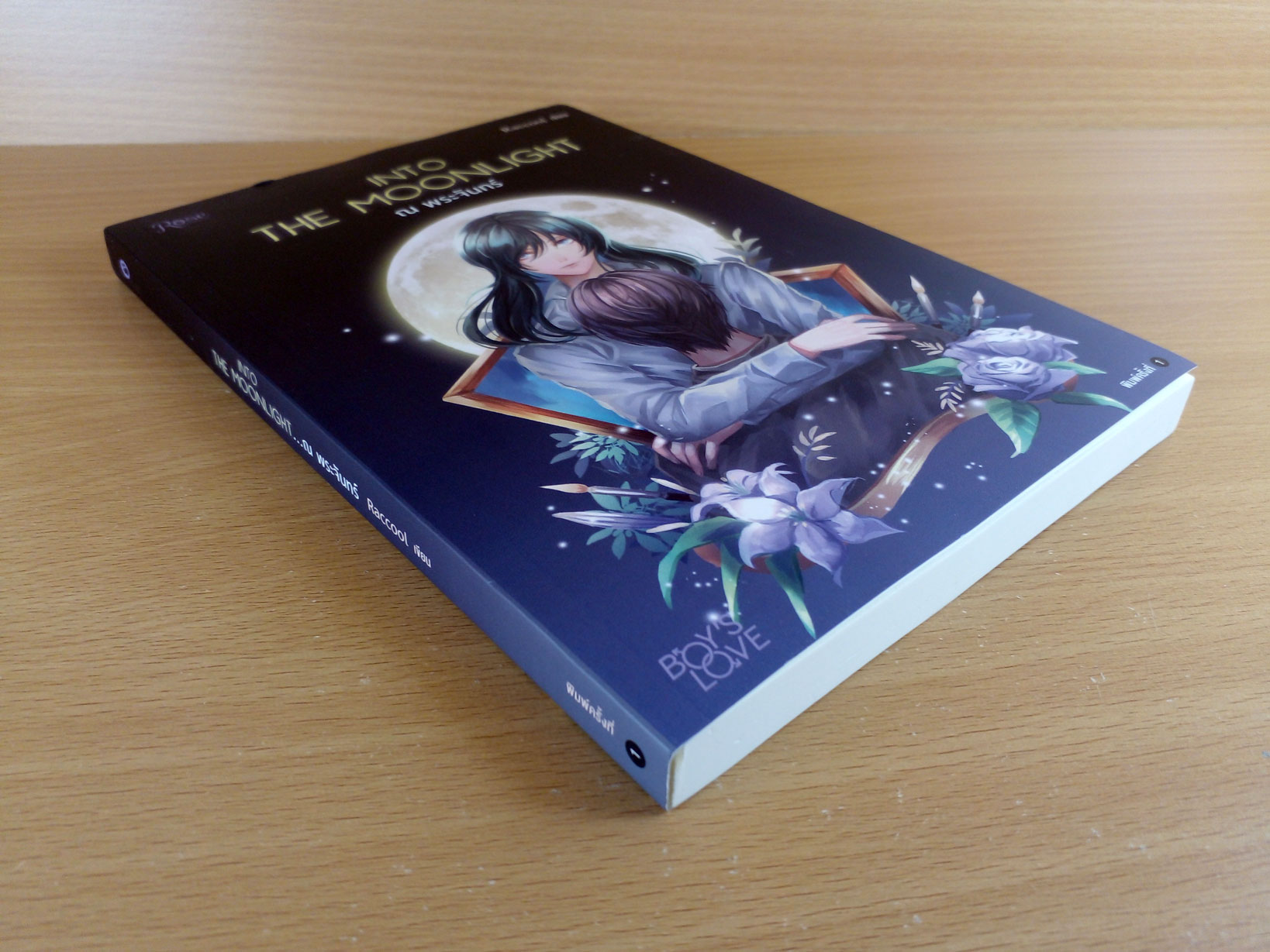 Into the Moonlight... ณ พระจันทร์