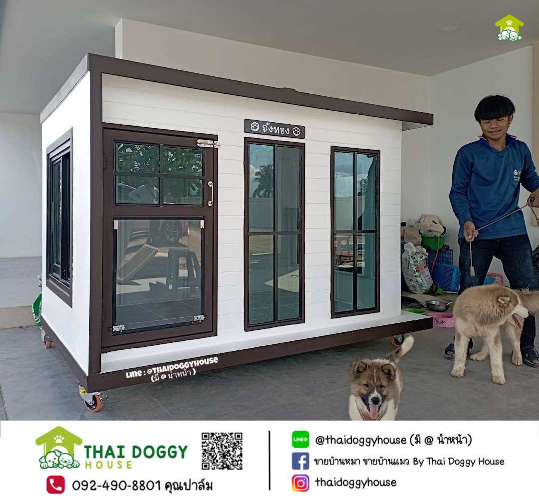 บ้านหมา บ้านแมว " 𝐁𝐎𝐗 𝐒𝐓𝐘𝐋𝐄 𝐁𝐘 𝐓𝐇𝐀𝐈 𝐃𝐎𝐆𝐆𝐘 𝐇𝐎𝐔𝐒𝐄 "