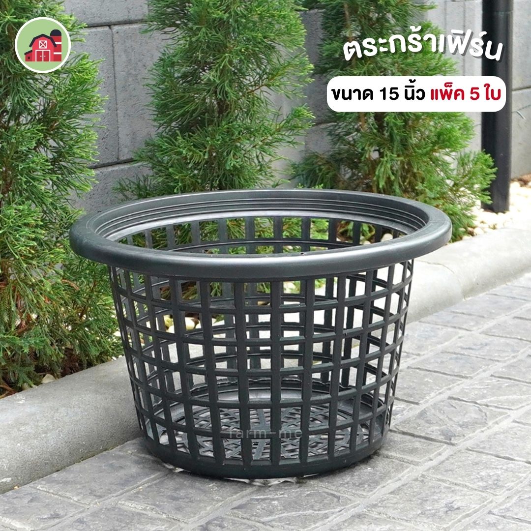 ตะกร้าปลูกเฟิร์น ขนาด 15 นิ้ว ขายส่ง 5 ใบ