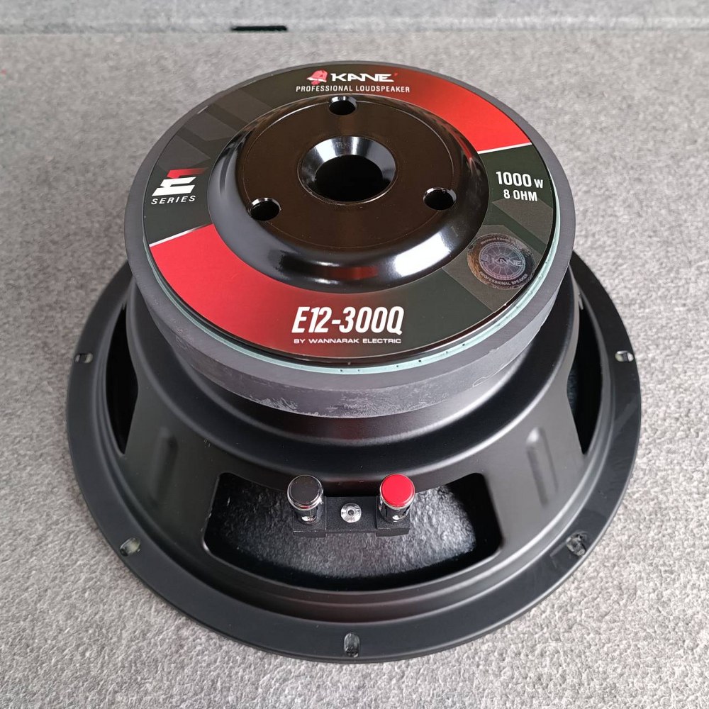 KANE E12-300Q ลำโพง 12นิ้ว ดอกลำโพง12" โครงปั๊ม ดอก12นิ้ว วอยซ์2.5นิ้ว คาเนะ E12 300Q E12300Q เอไอ-ไพศาล
