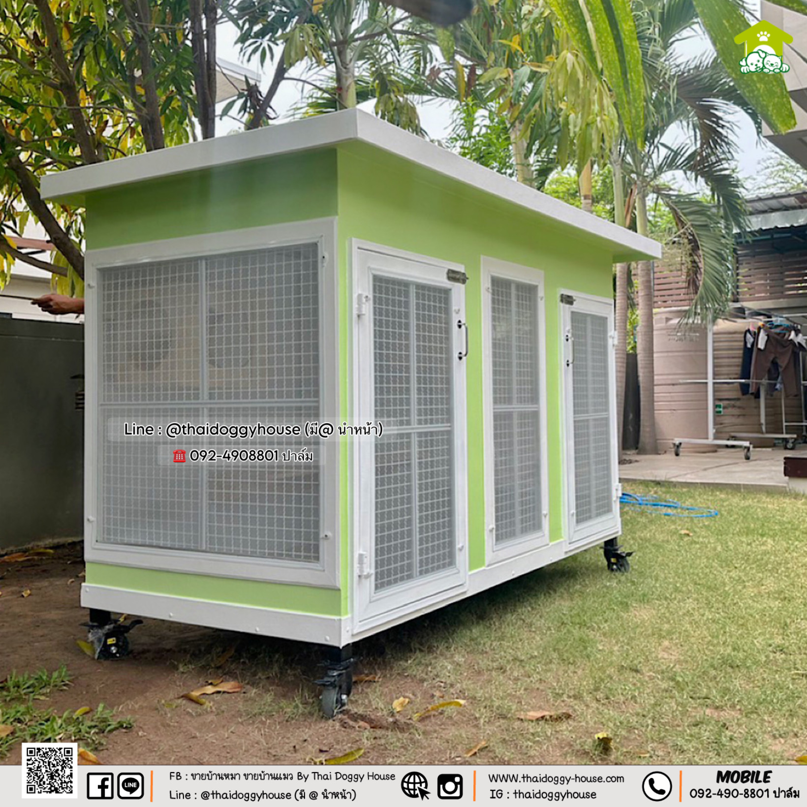 🏡 บ้านหมา บ้านแมว " 𝐁𝐎𝐗 𝐒𝐓𝐘𝐋𝐄 𝐁𝐘 𝐓𝐇𝐀𝐈 𝐃𝐎𝐆𝐆𝐘 𝐇𝐎𝐔𝐒𝐄