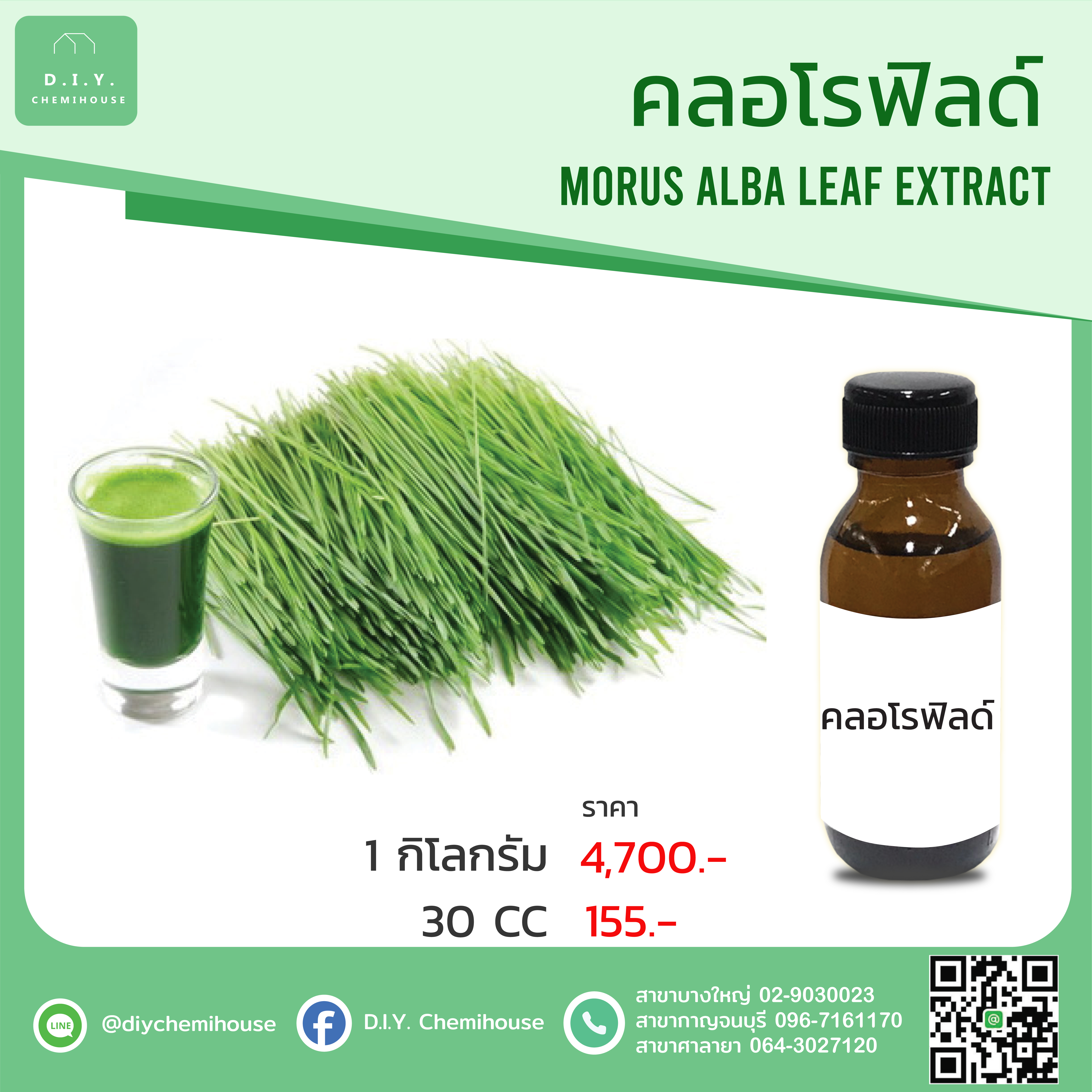 สารสกัดคลอโรฟิลด์