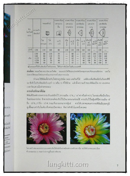 กลวิธีในการถ่ายภาพ (ภาค2) 019314 (1)